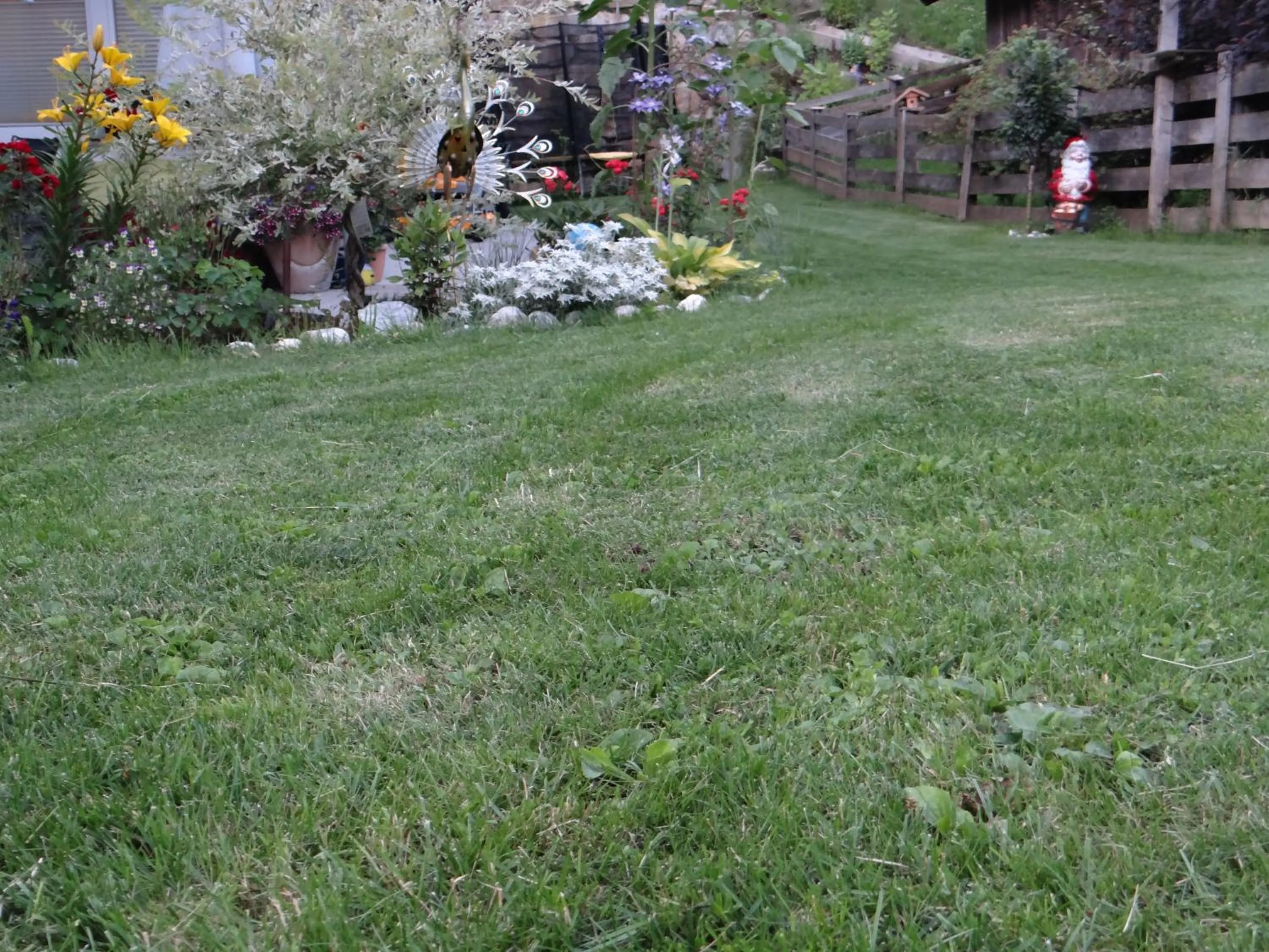 Garden in Apartment Aster