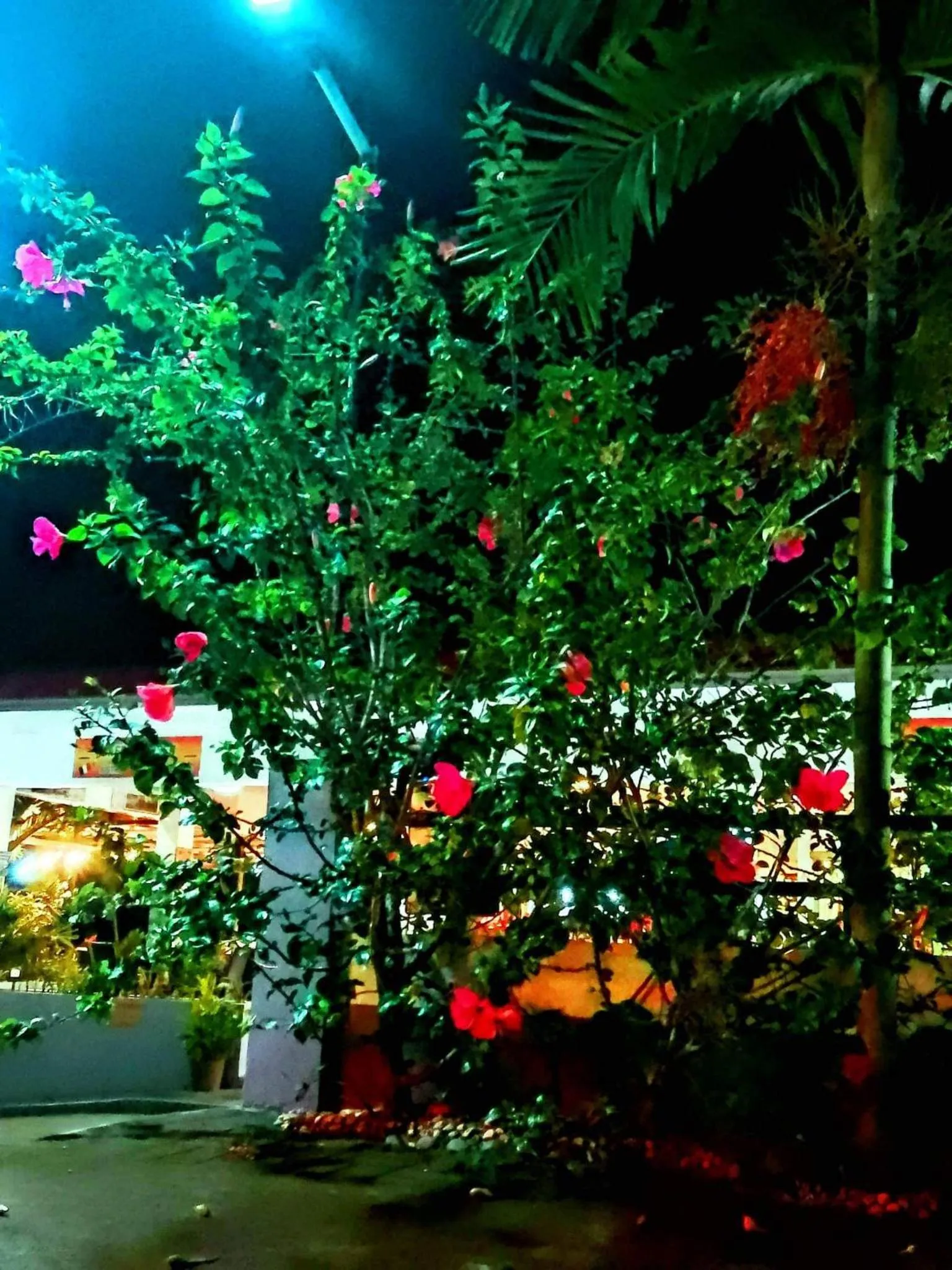 Night in Garden Village Resort