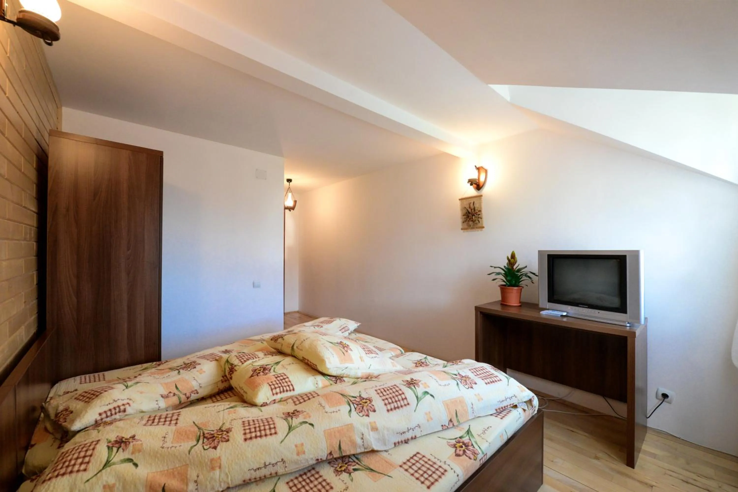 Bed in Pensiunea Arina