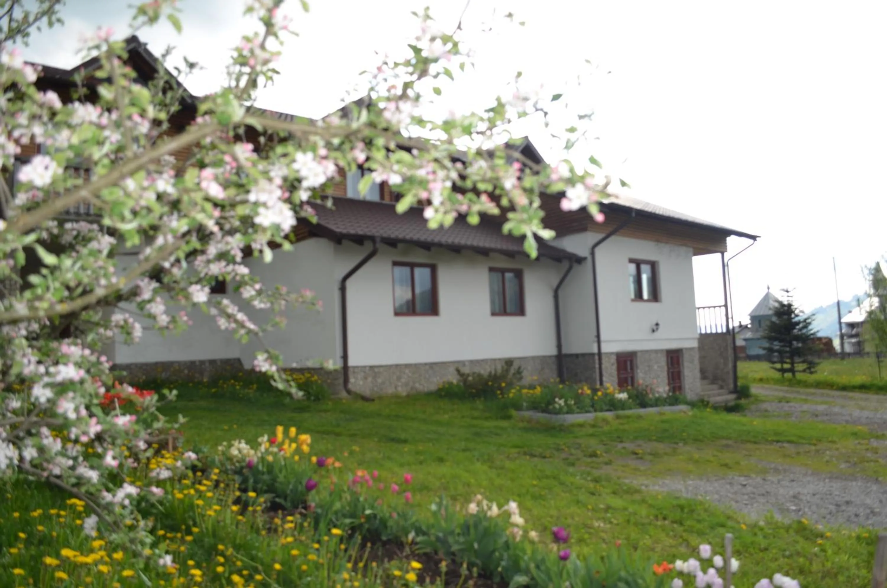 Property building in Pensiunea Arina