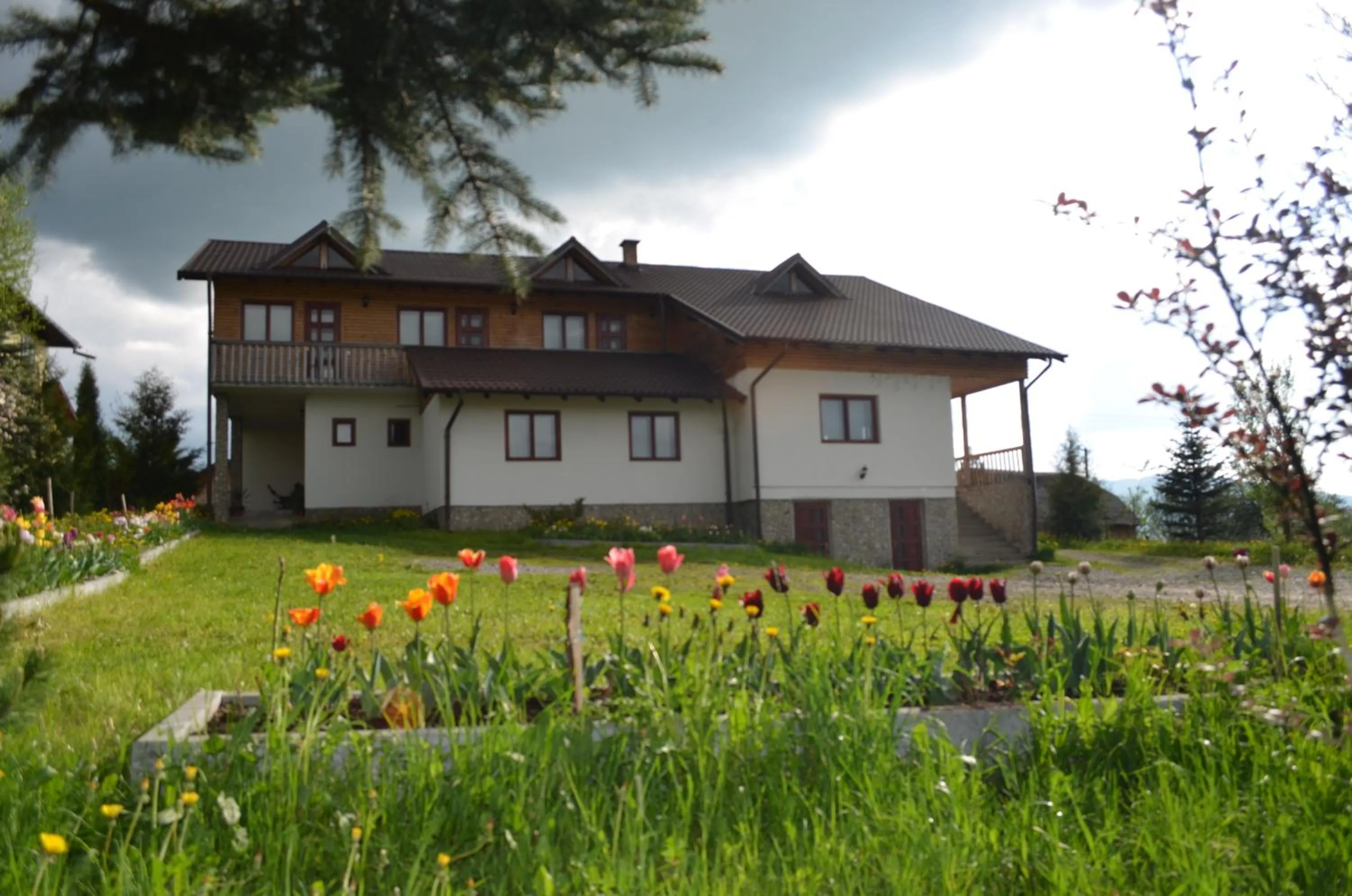 Property building in Pensiunea Arina