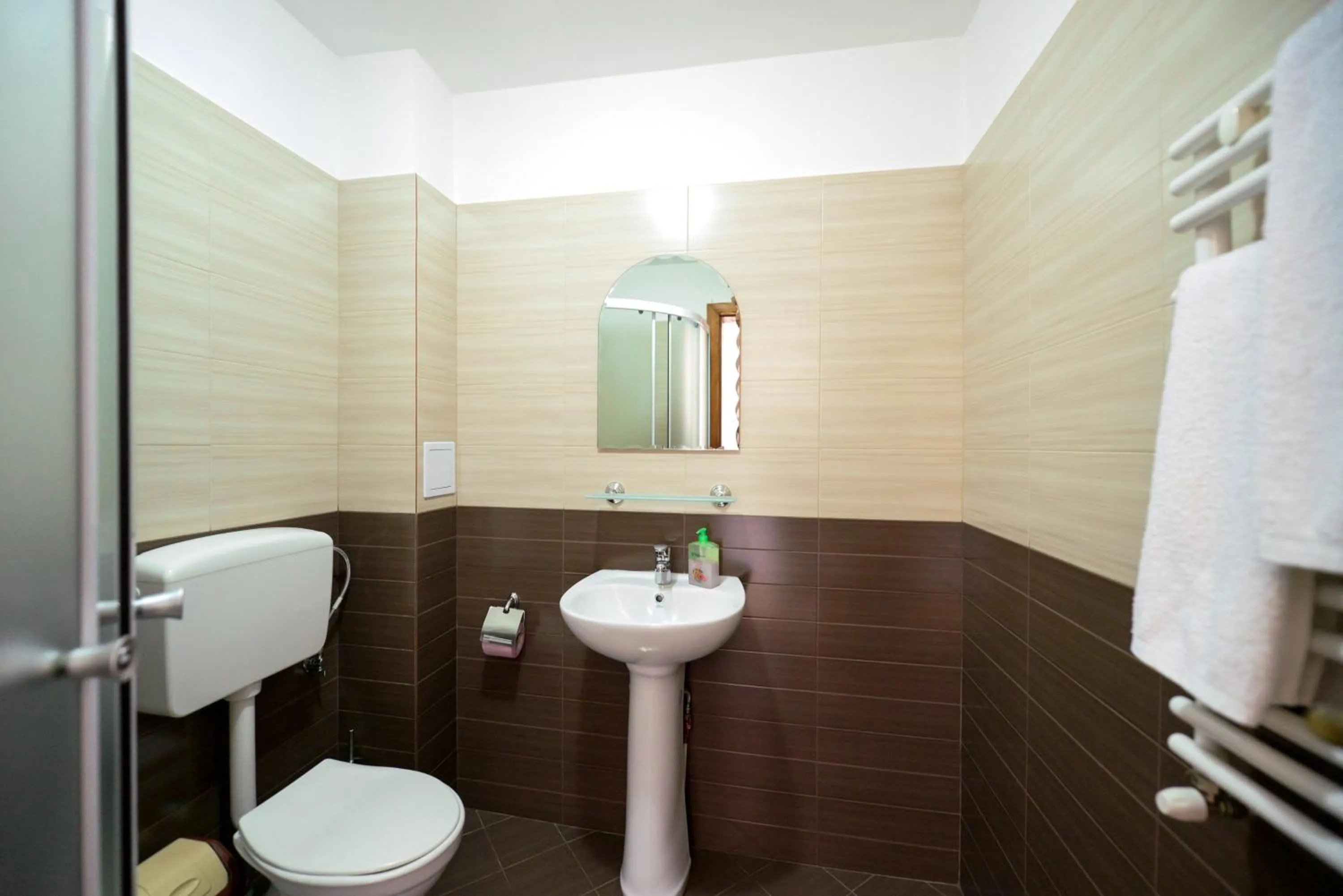Bathroom in Pensiunea Arina