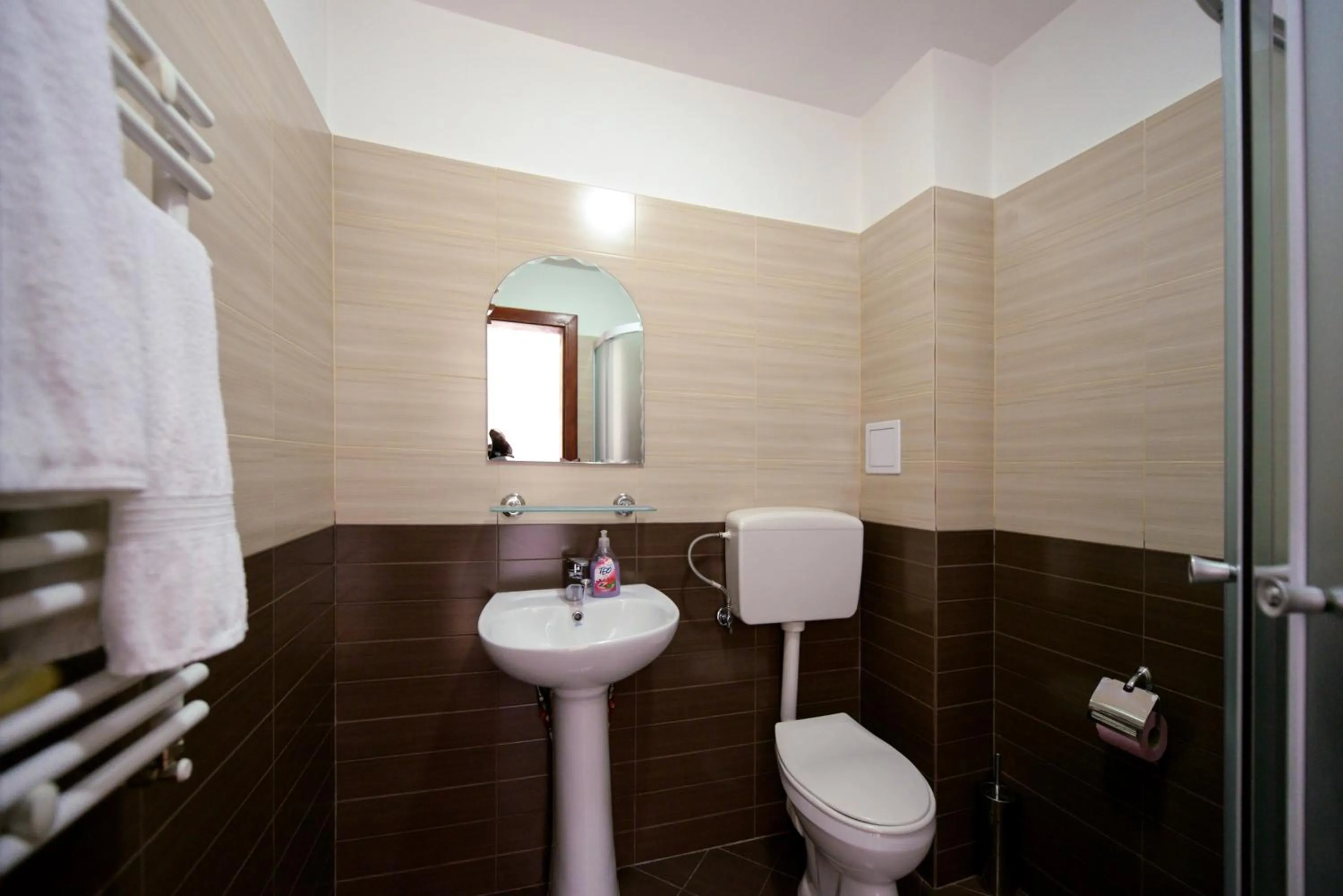 Bathroom in Pensiunea Arina