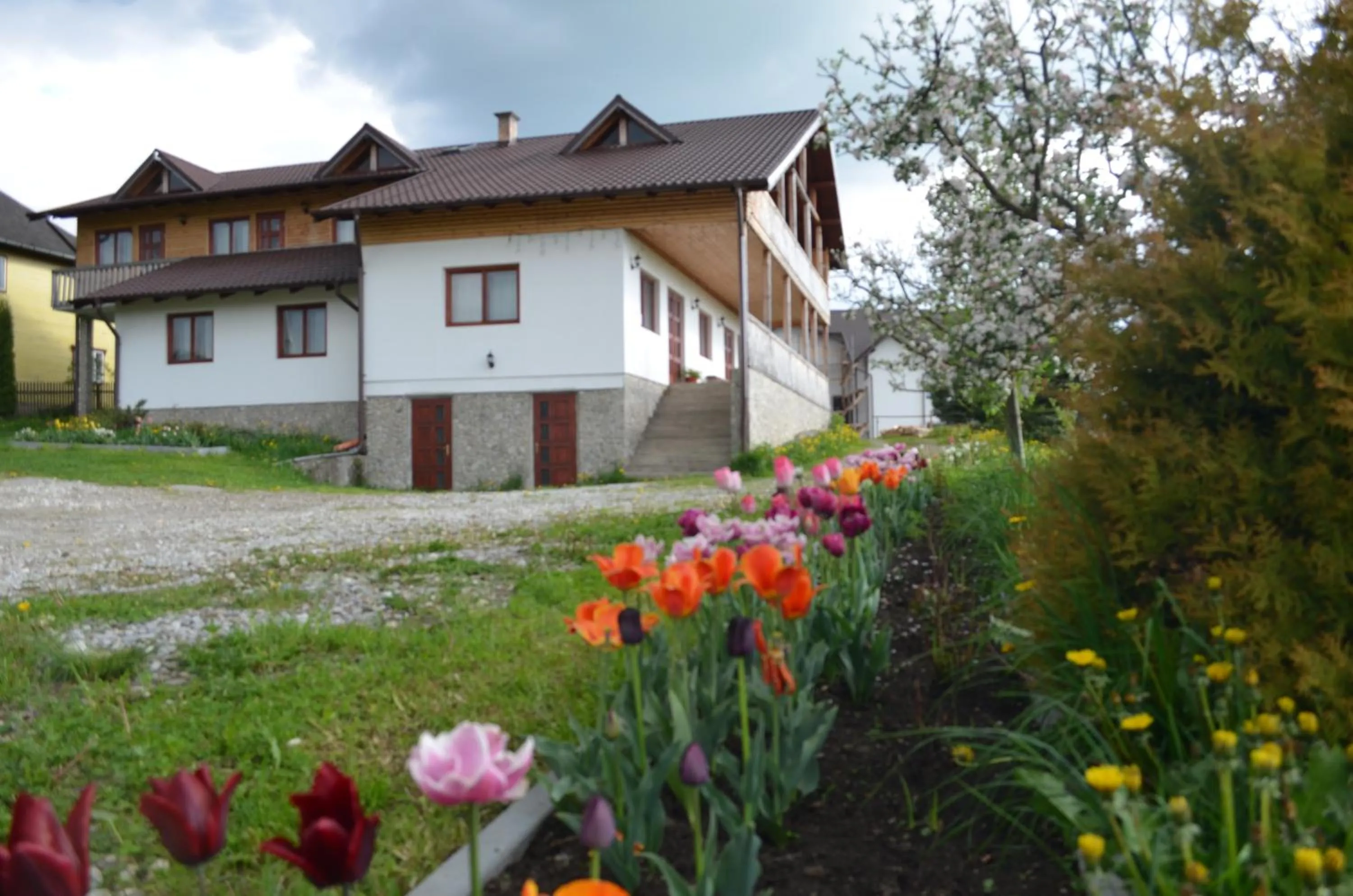 Property building in Pensiunea Arina