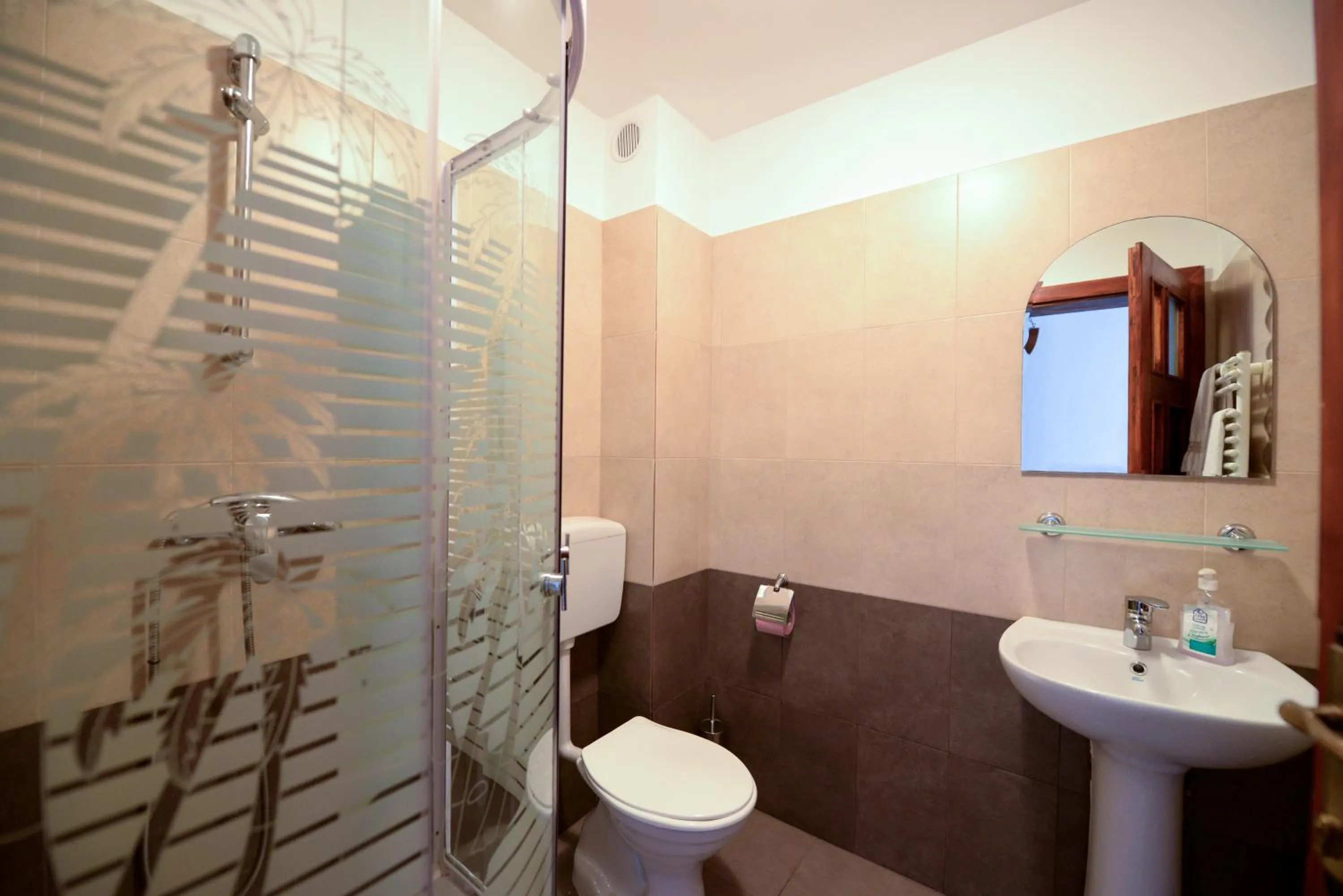 Bathroom in Pensiunea Arina