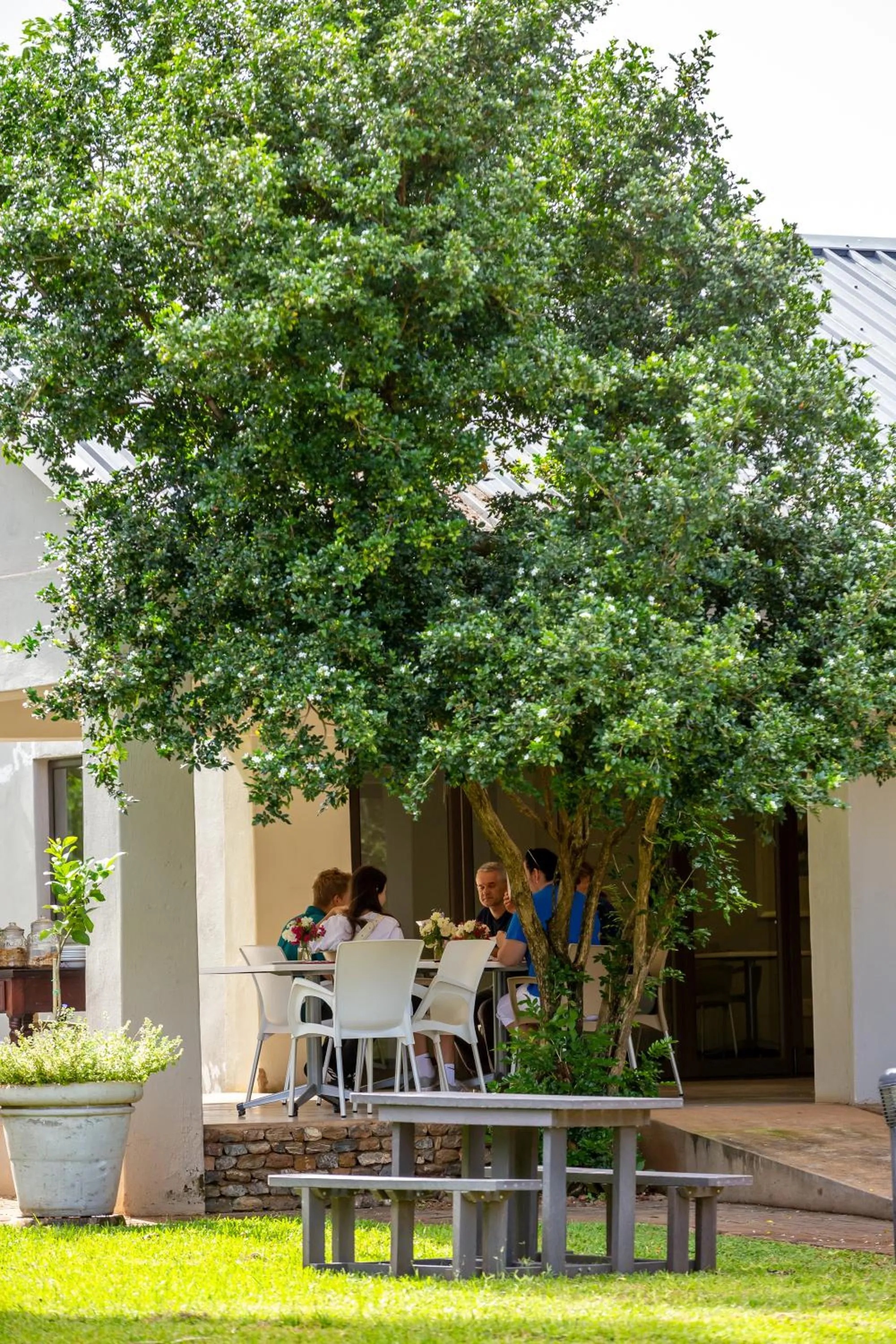 Garden view in Hamiltons Lodge & Restaurant