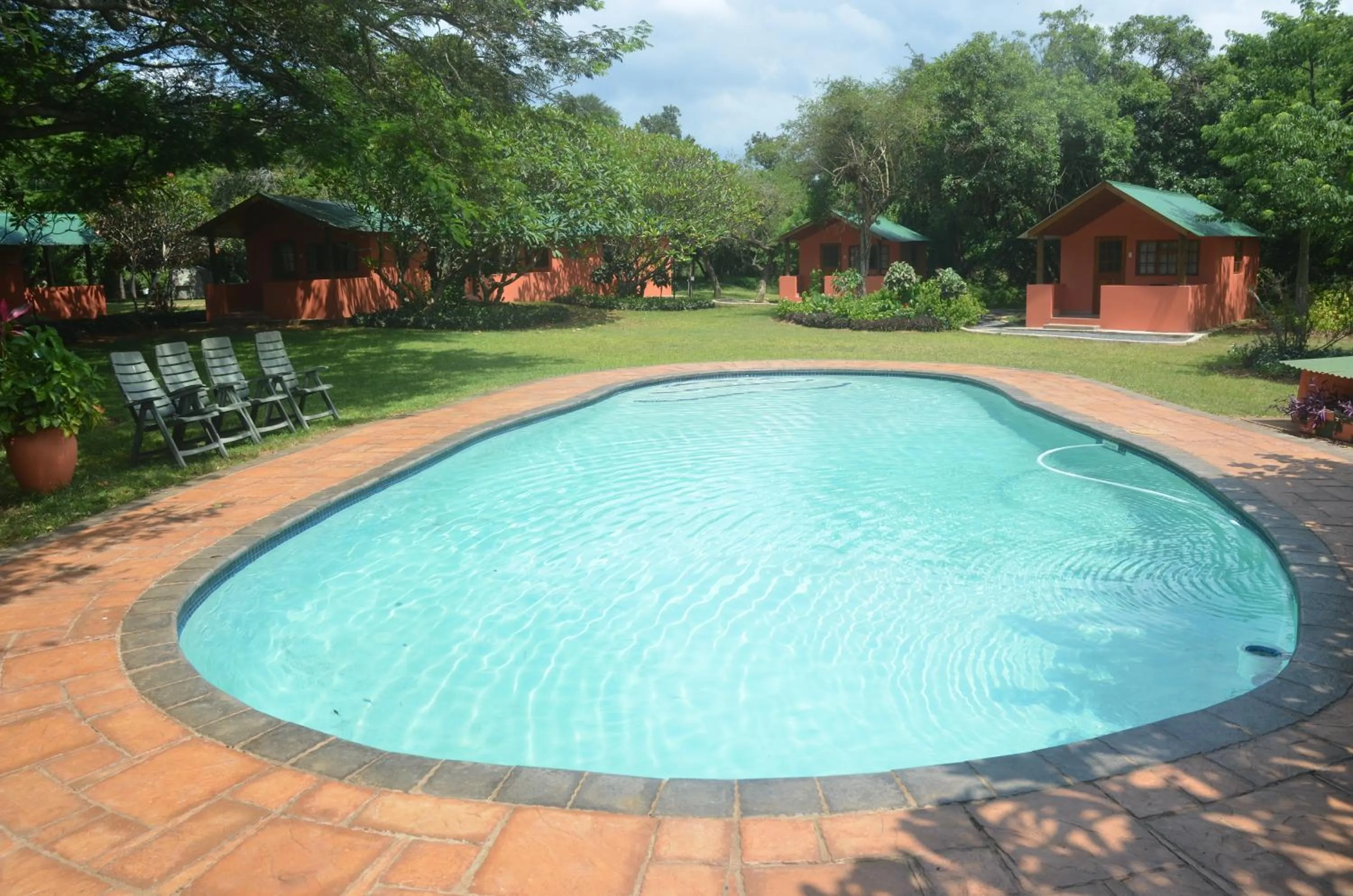 Swimming pool in Bushbaby Lodge & Camping