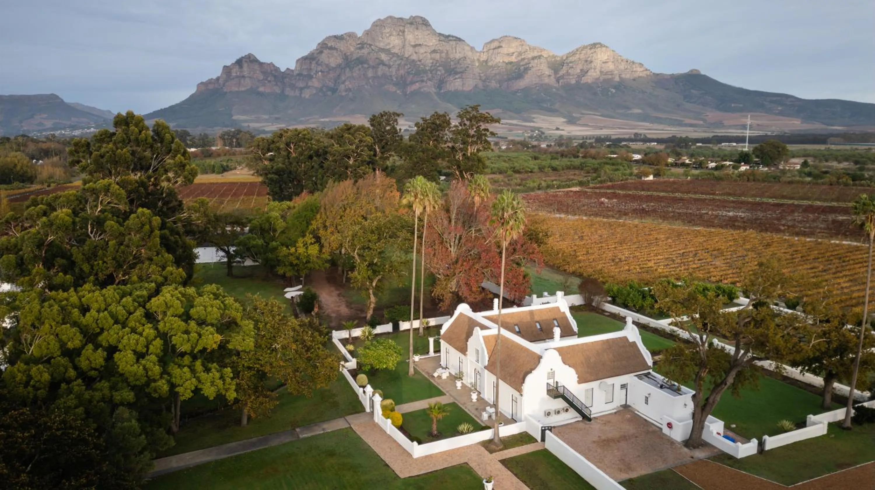 Allèe Bleue Wine Estate