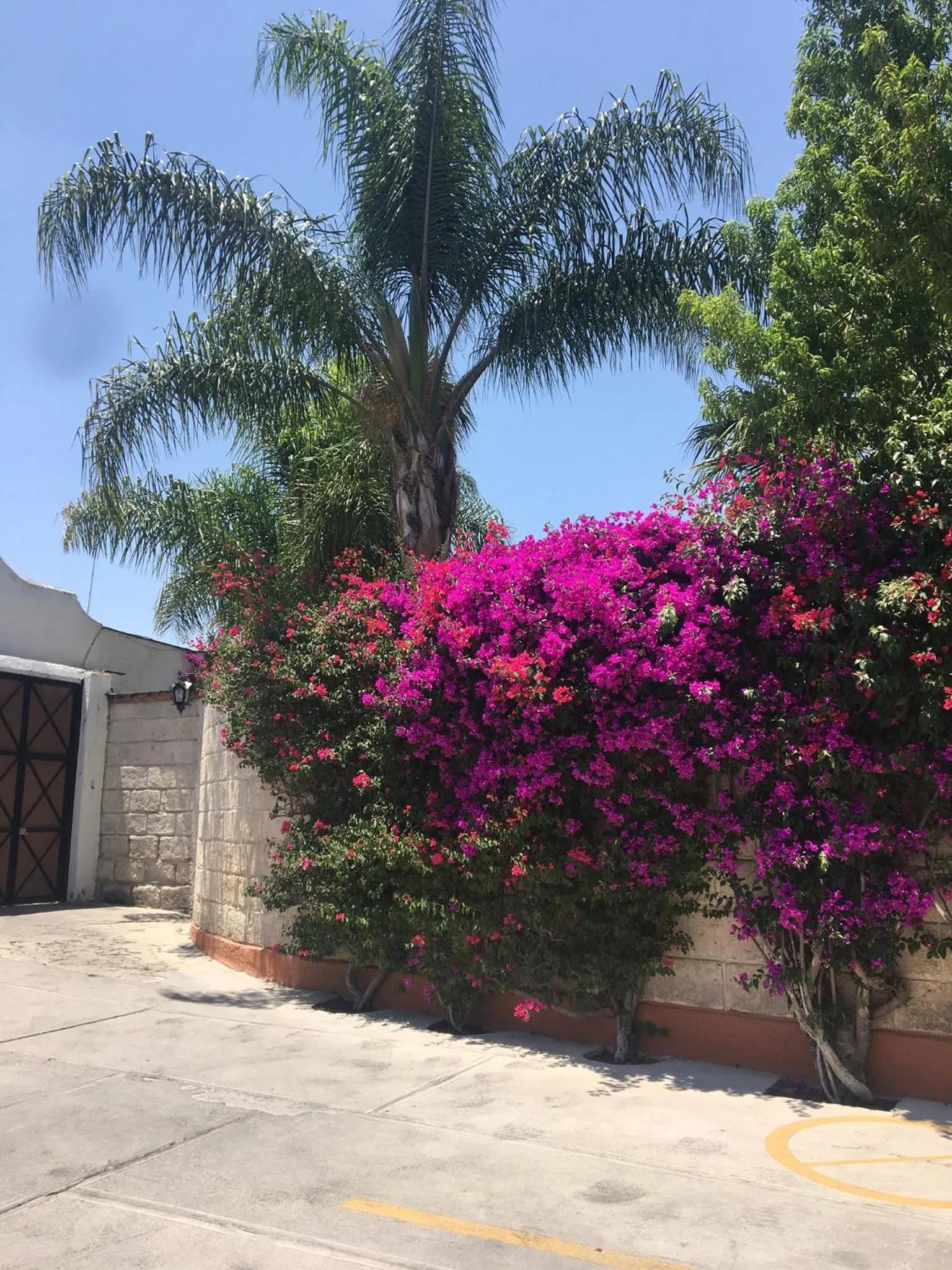 Posada del Virrey