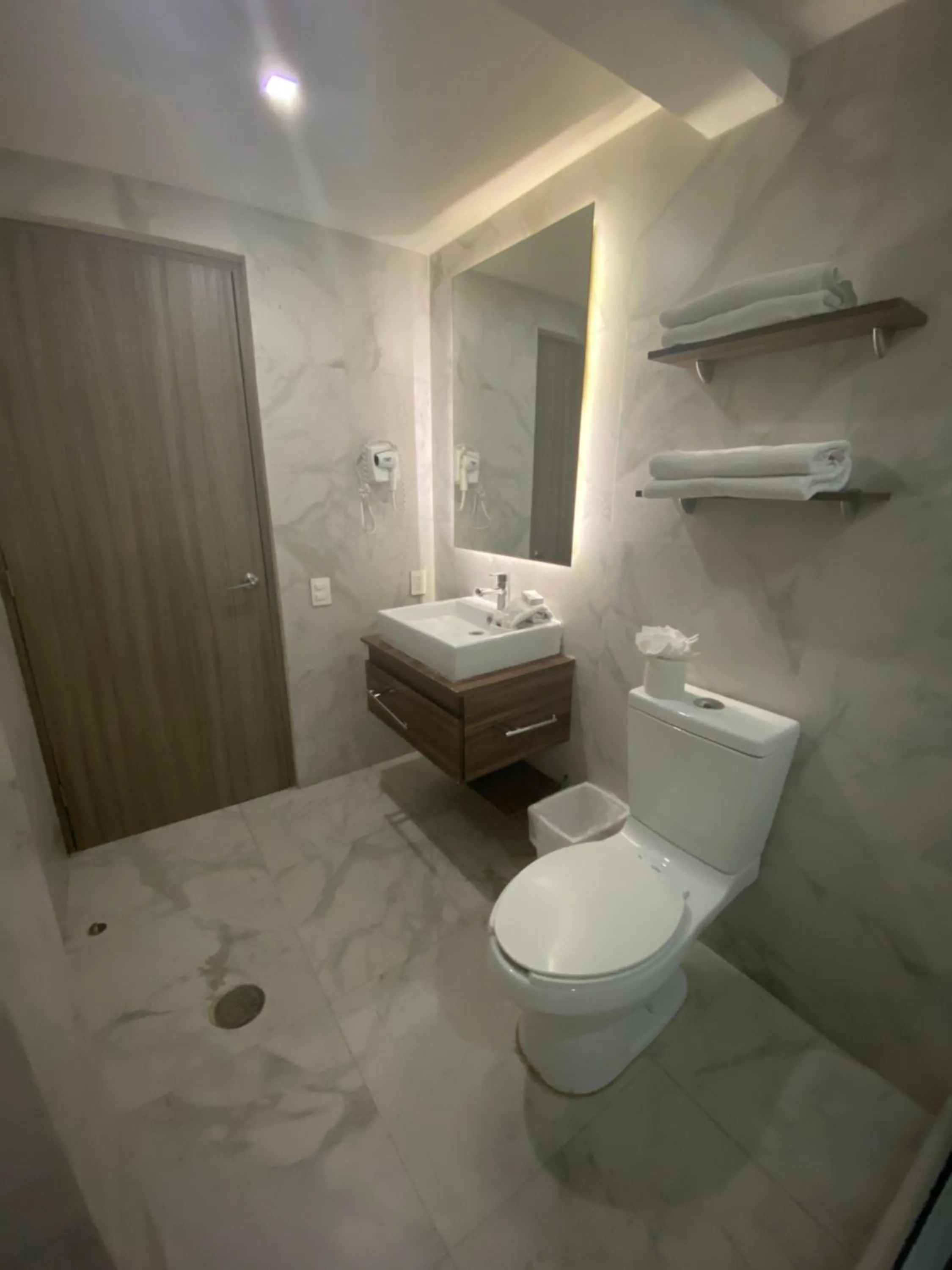 Toilet in Suites Rio Elba