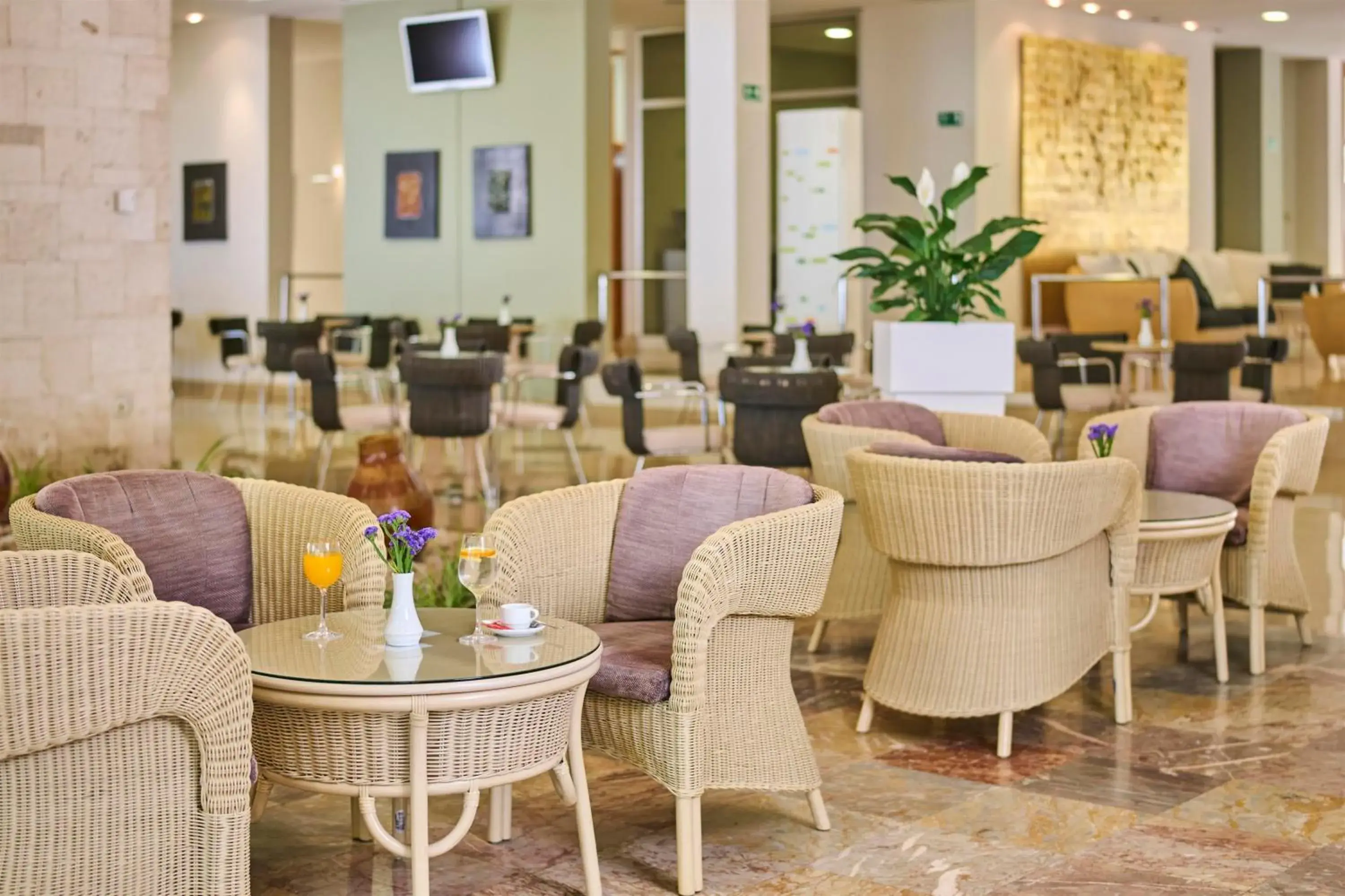 Lounge or bar in Hotel Aurora Plava Laguna Lounge or bar in Hotel Aurora Plava Laguna