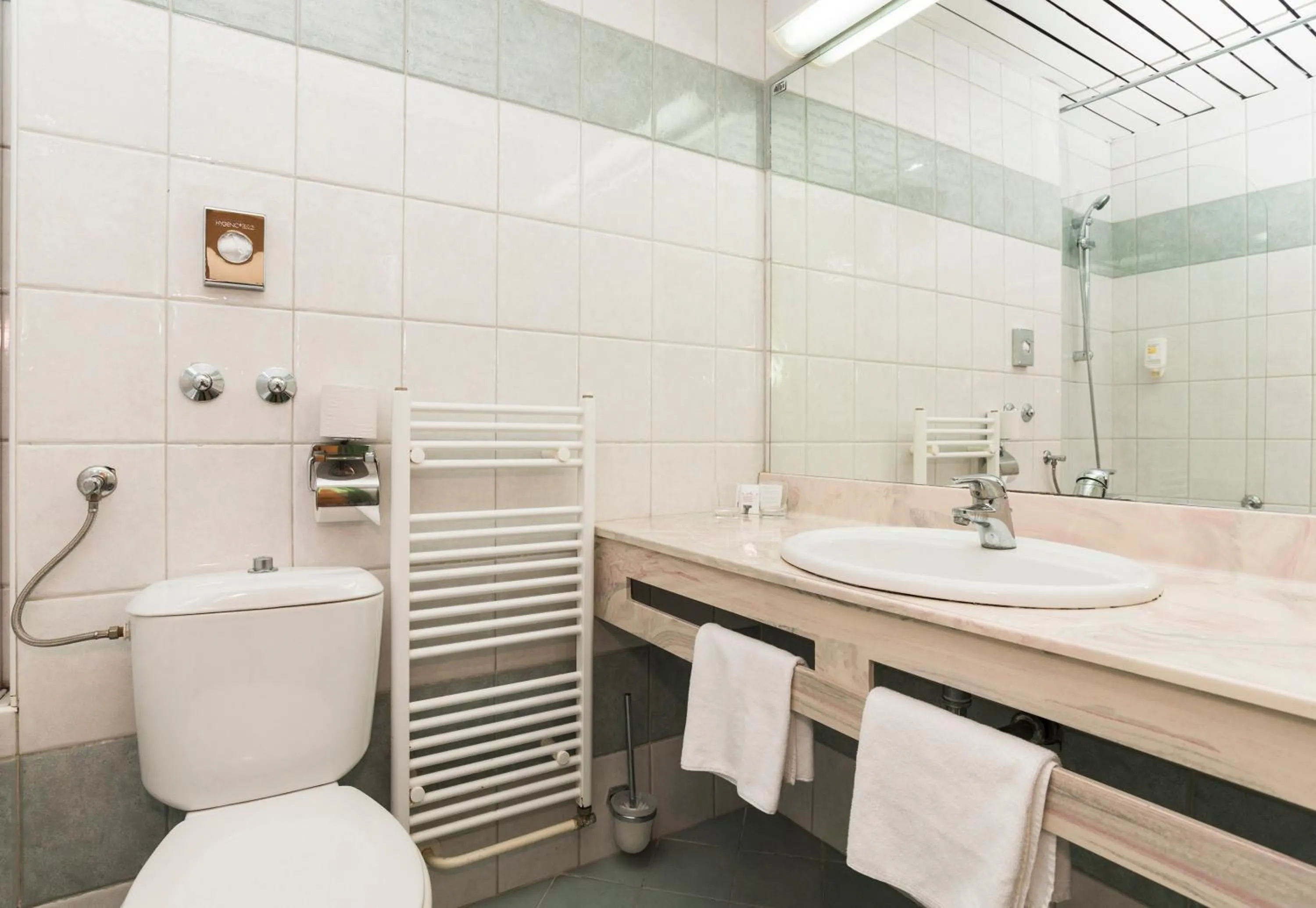 Bathroom in Hotel Aurora Plava Laguna