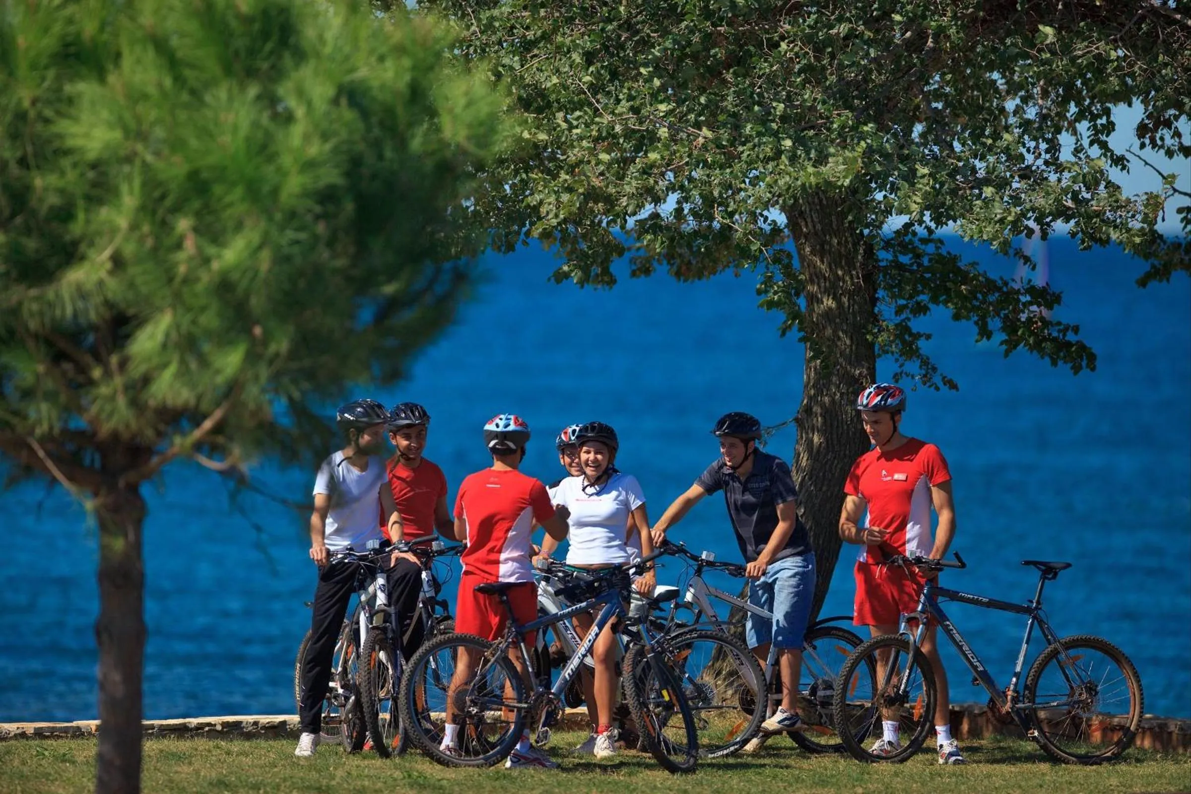 Other in Hotel Aurora Plava Laguna