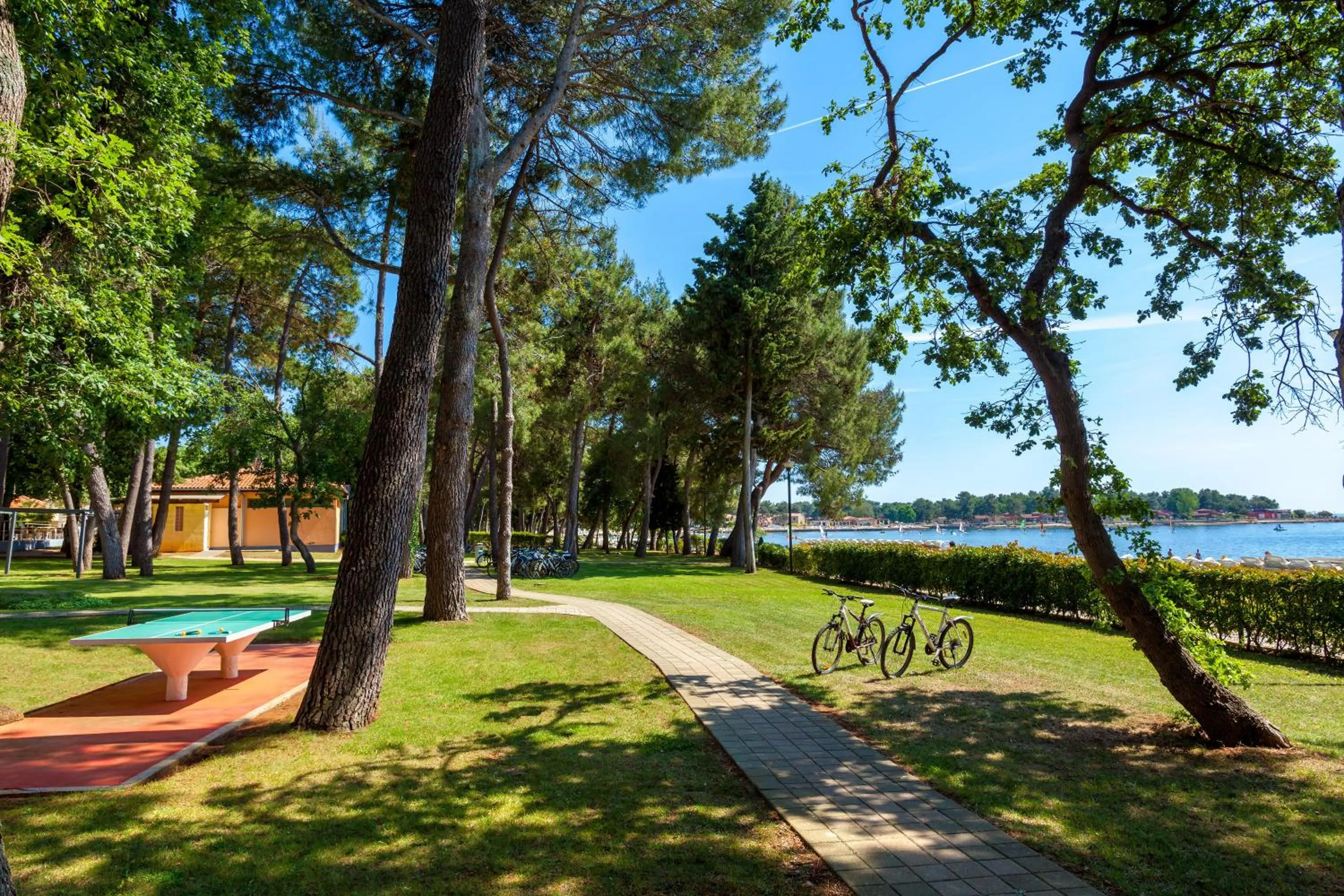 Beach in Hotel Aurora Plava Laguna
