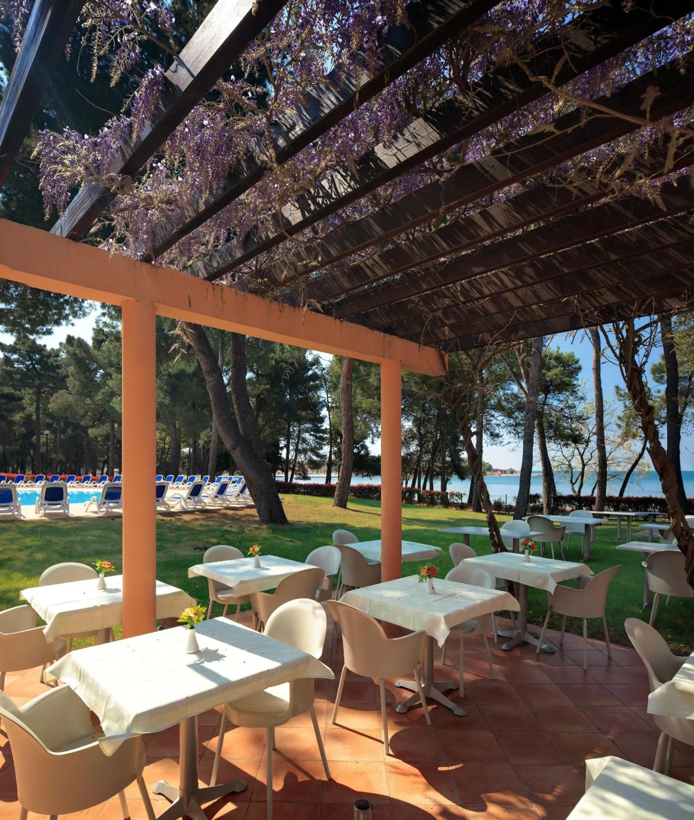 Restaurant/places to eat in Hotel Aurora Plava Laguna