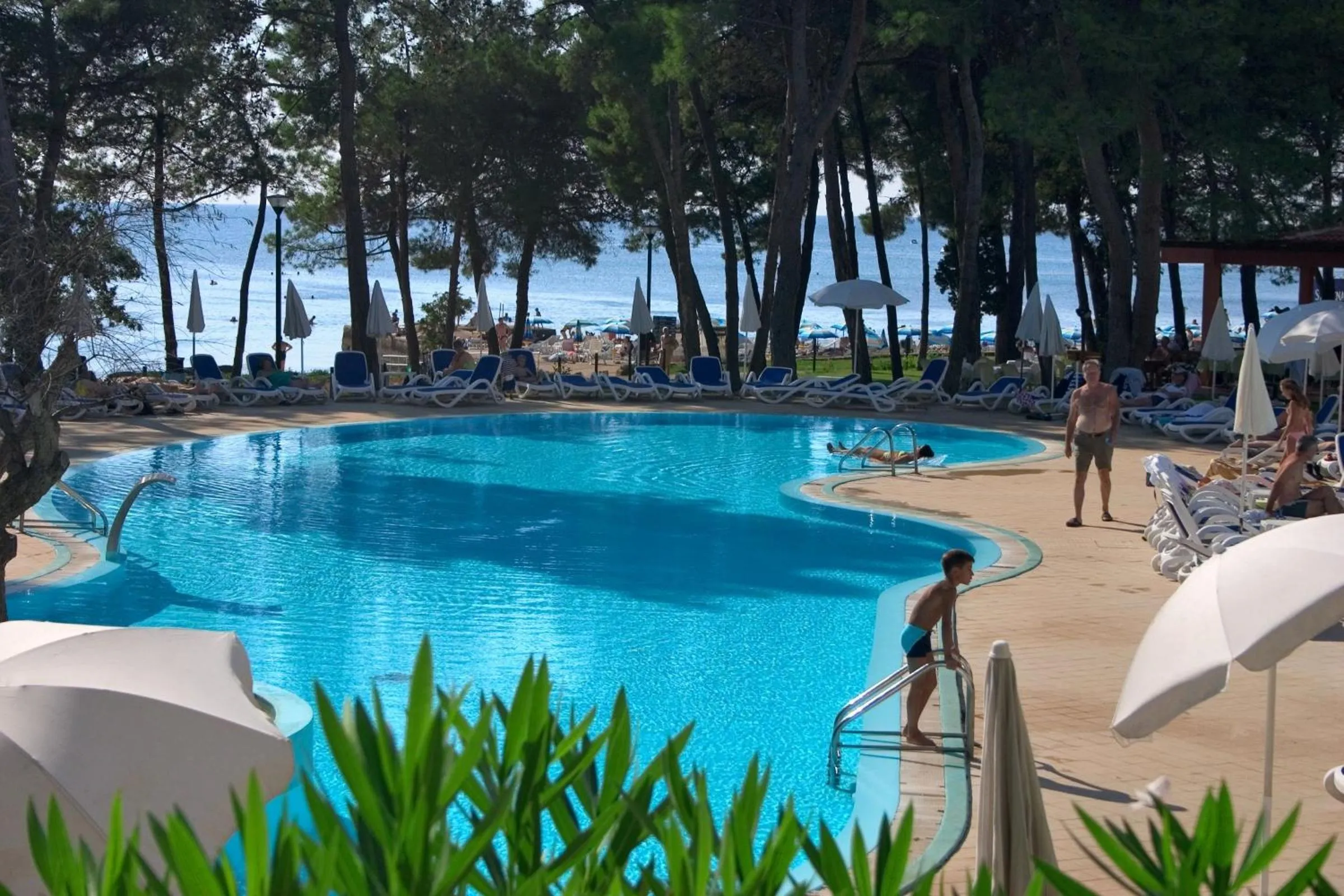 Area and facilities in Hotel Aurora Plava Laguna