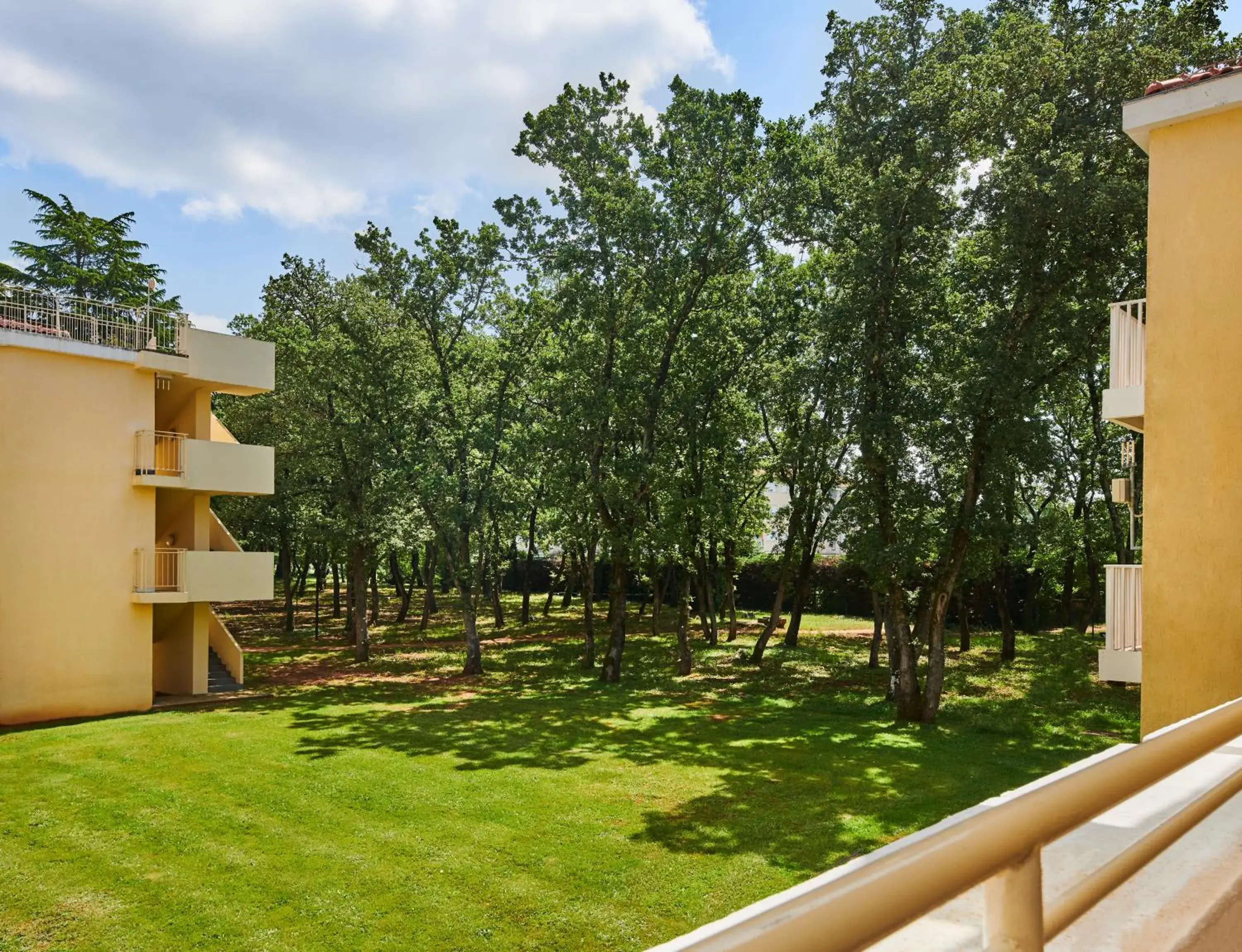 Garden view in Hotel Aurora Plava Laguna Garden view in Hotel Aurora Plava Laguna