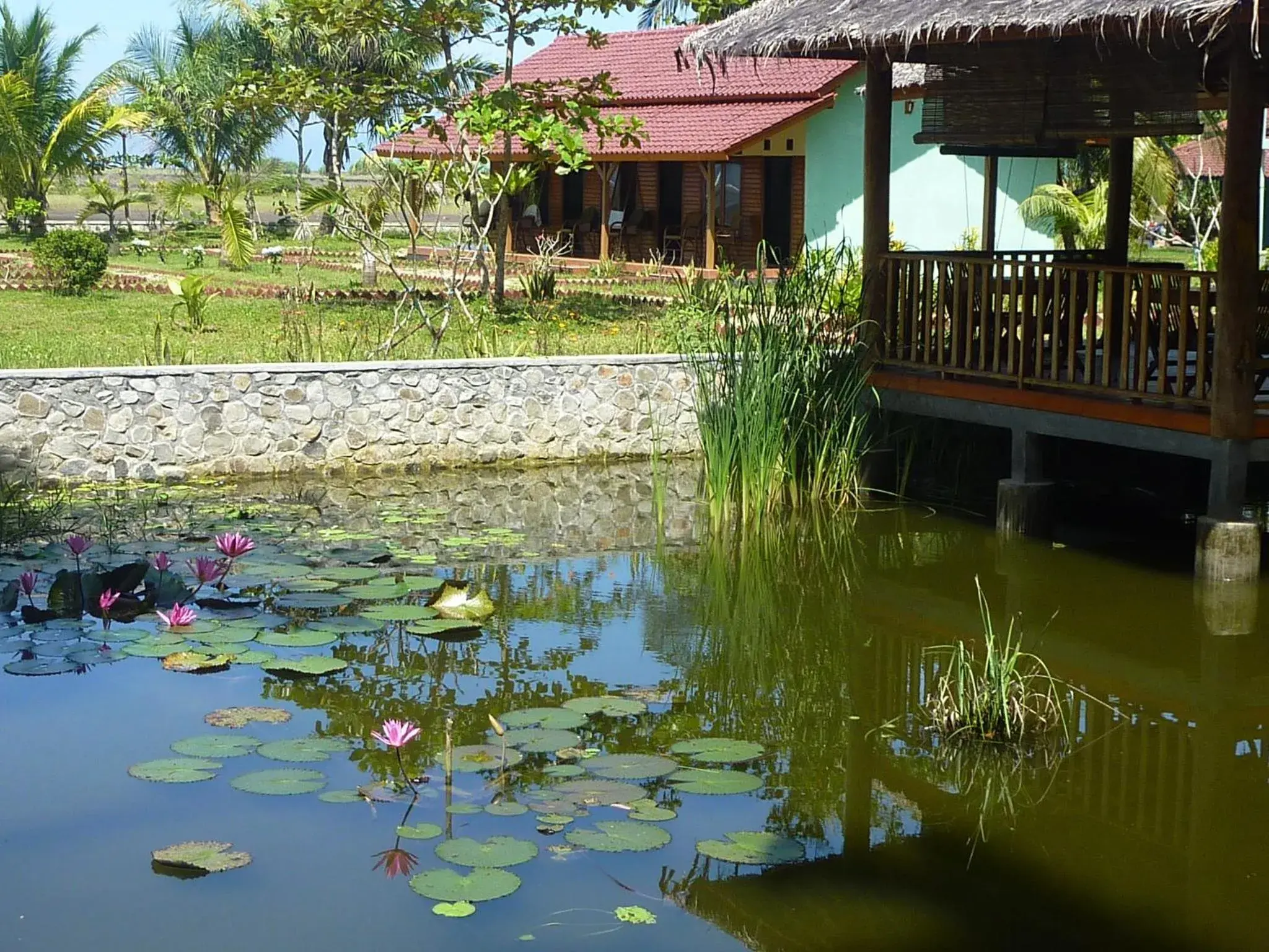 Restaurant/places to eat in Java Lagoon Restaurant/places to eat in Java Lagoon