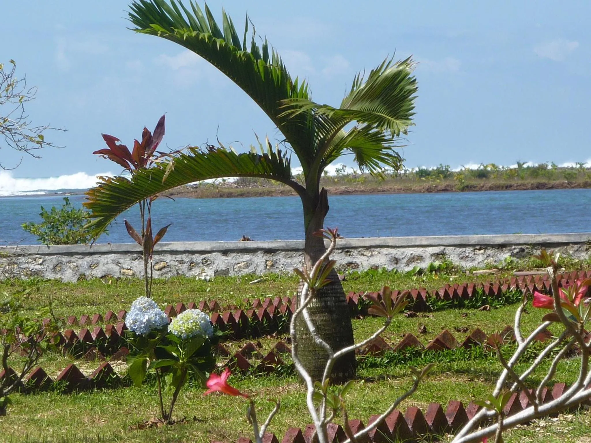 Property building in Java Lagoon
