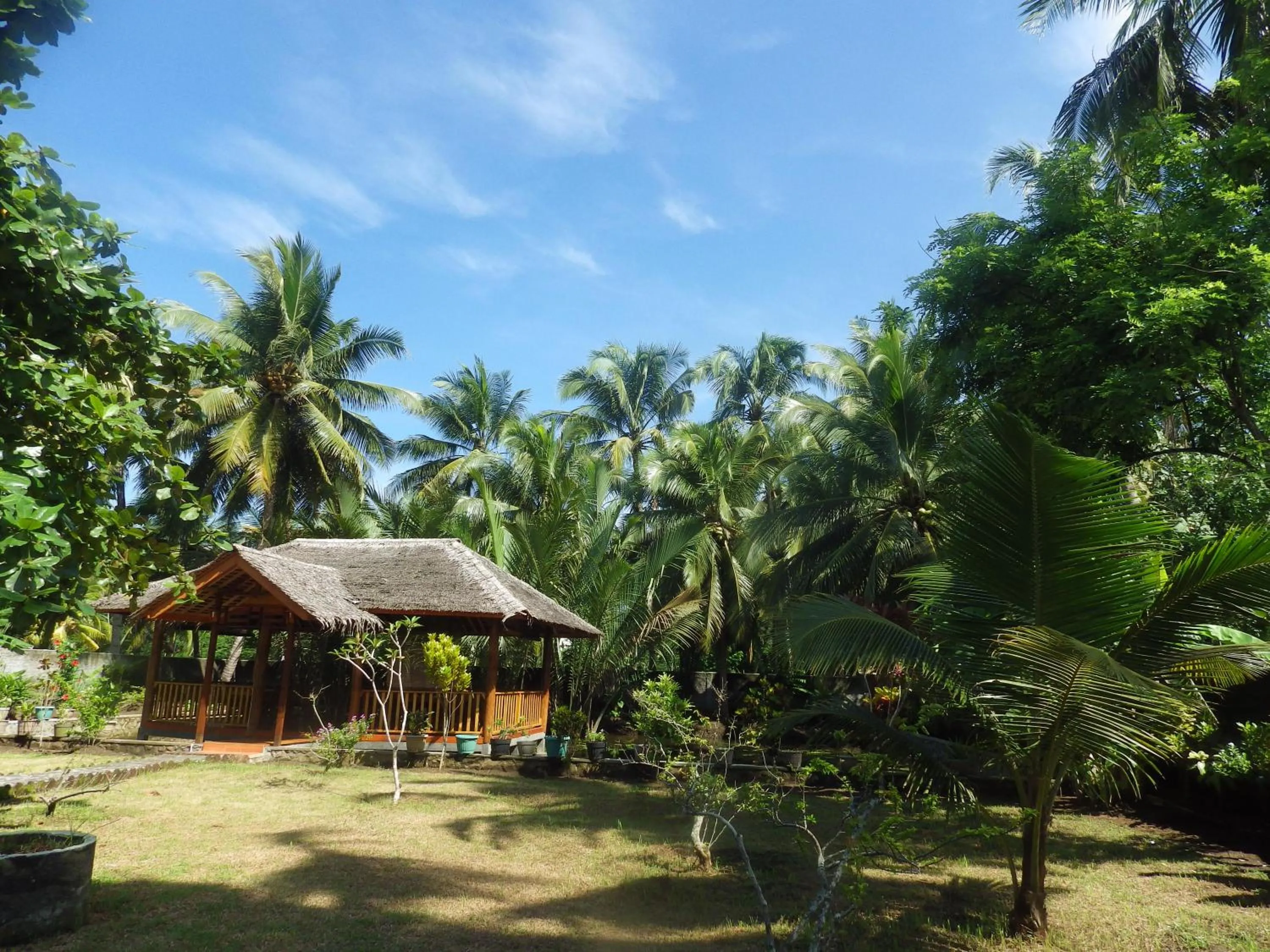 Restaurant/places to eat in Java Lagoon