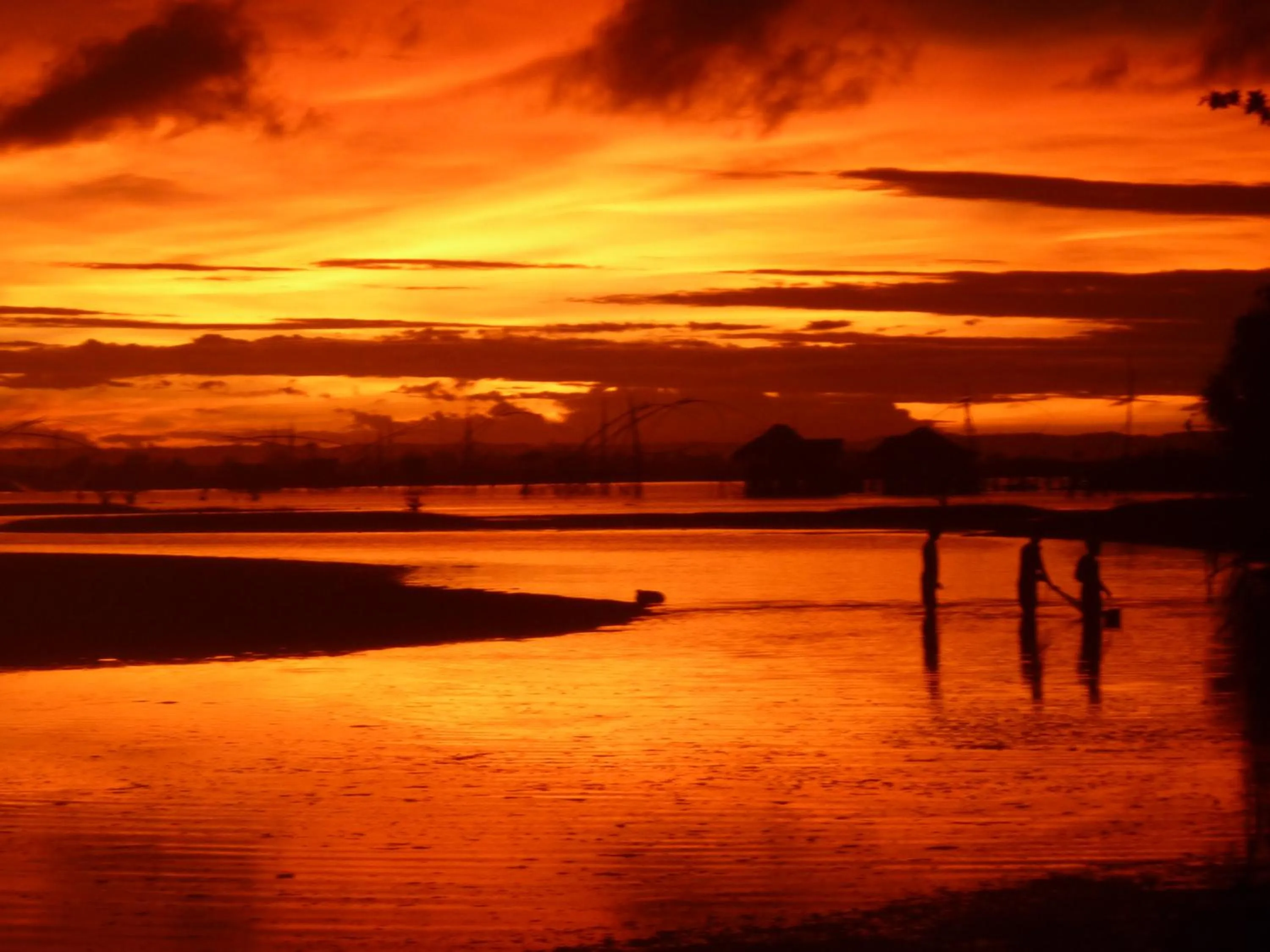 Natural landscape in Java Lagoon