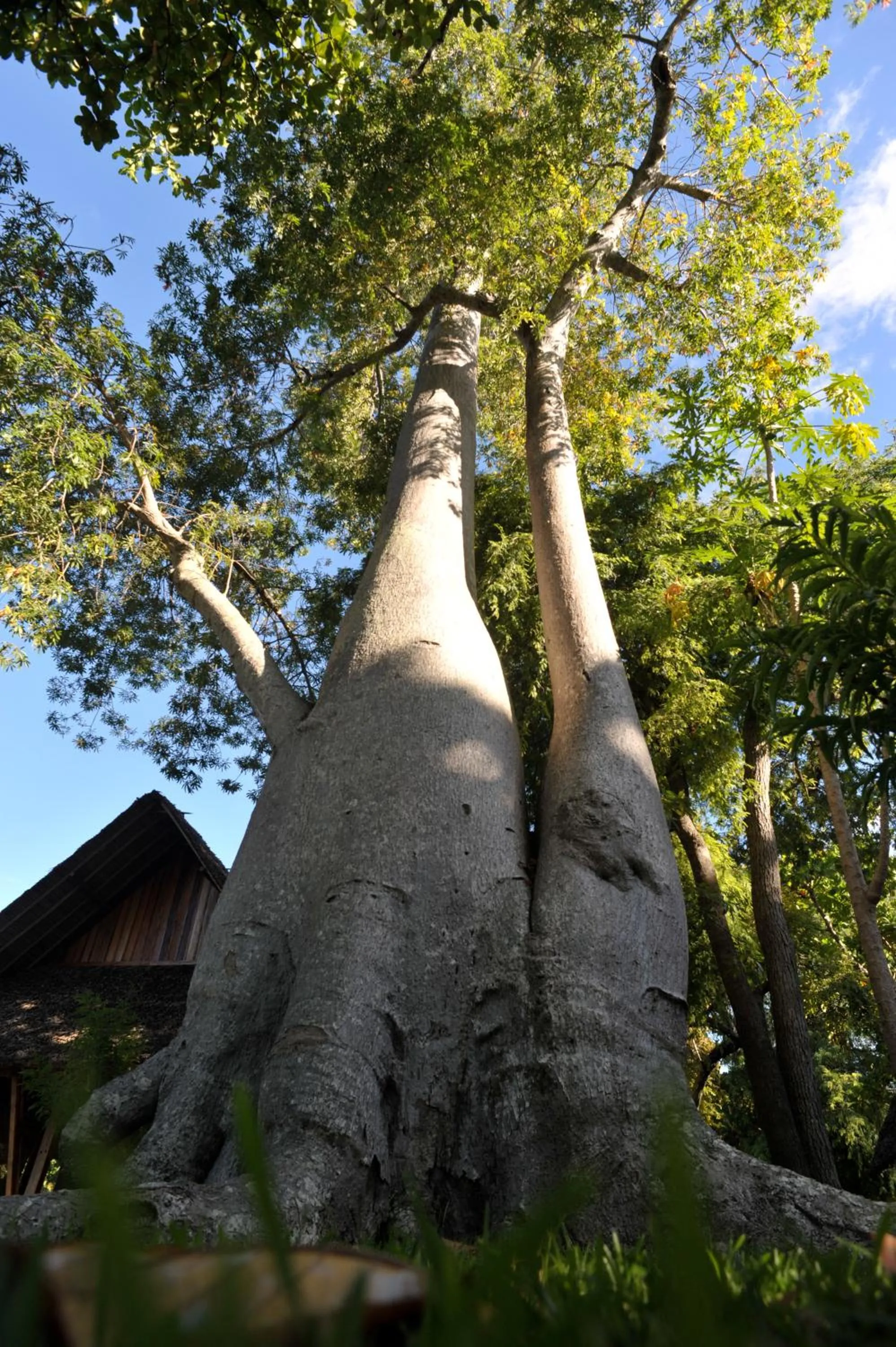 On site in Eden Lodge