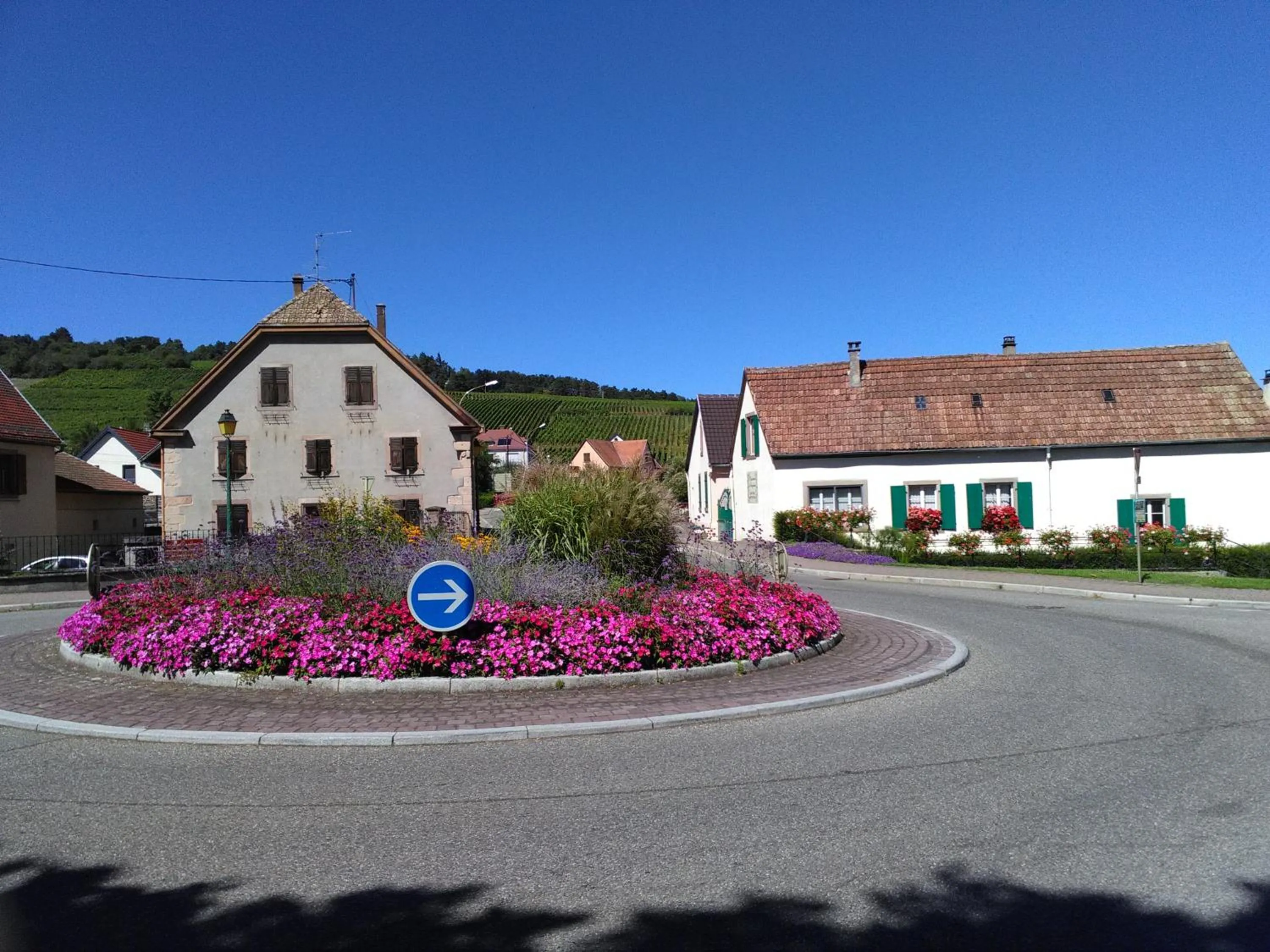 Gites & Camping on the Route des Vins