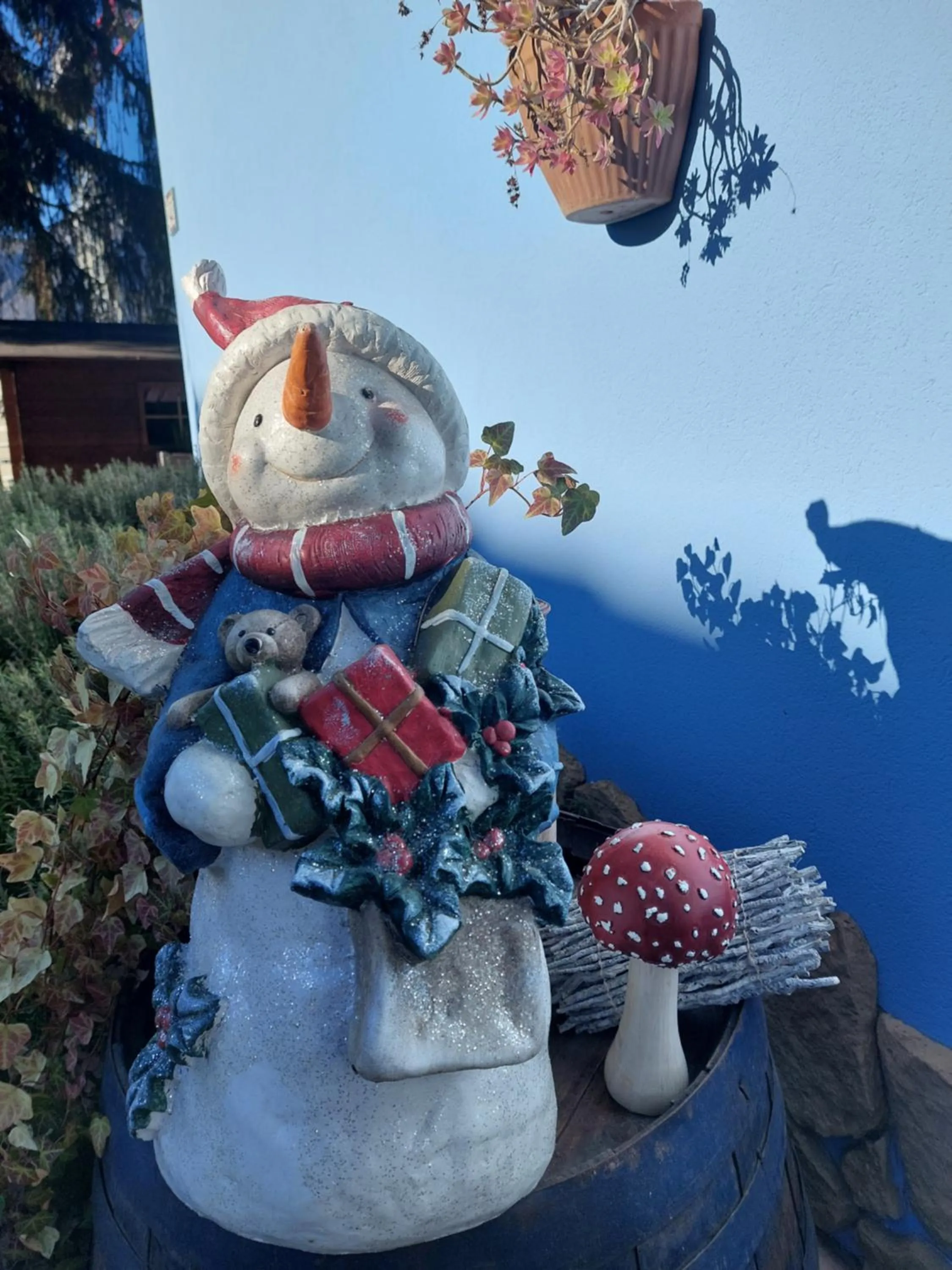 Garden in BnB Trento