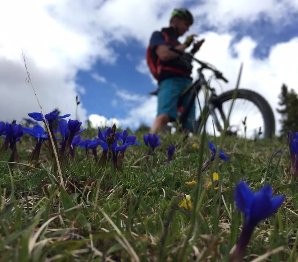 Cycling in Garni Raetia