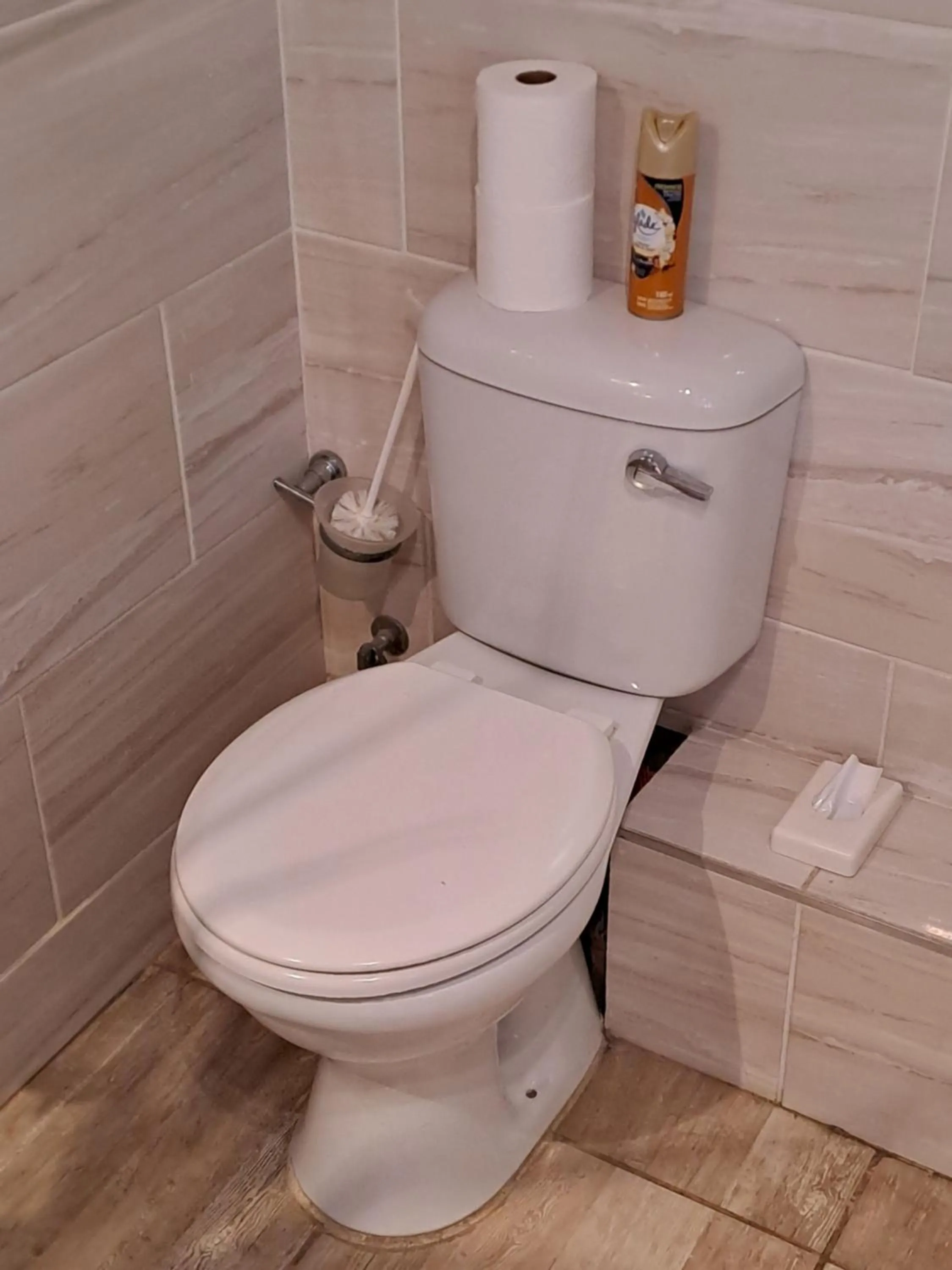 Toilet in Belle Vue Guesthouse