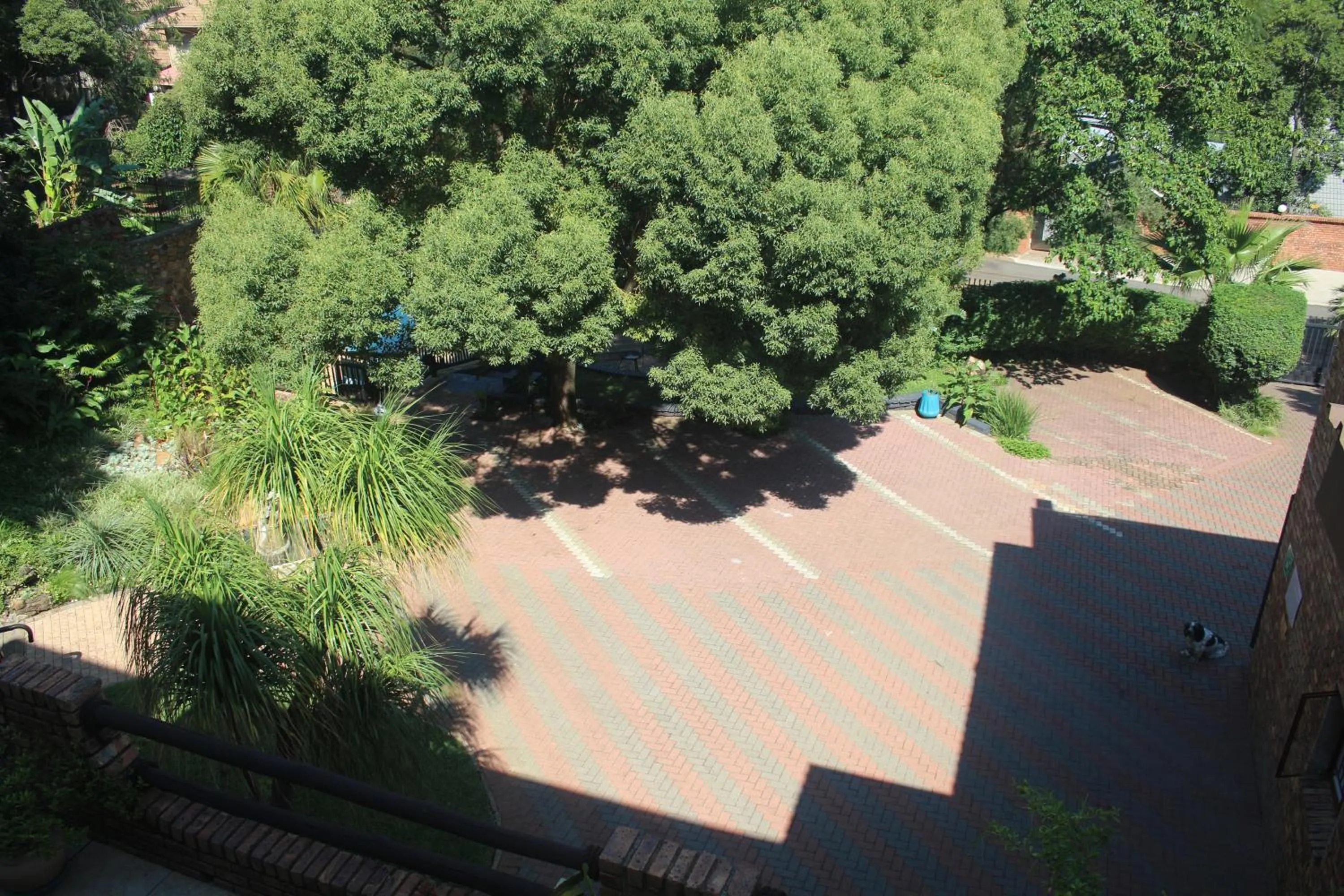 Garden view in Belle Vue Guesthouse