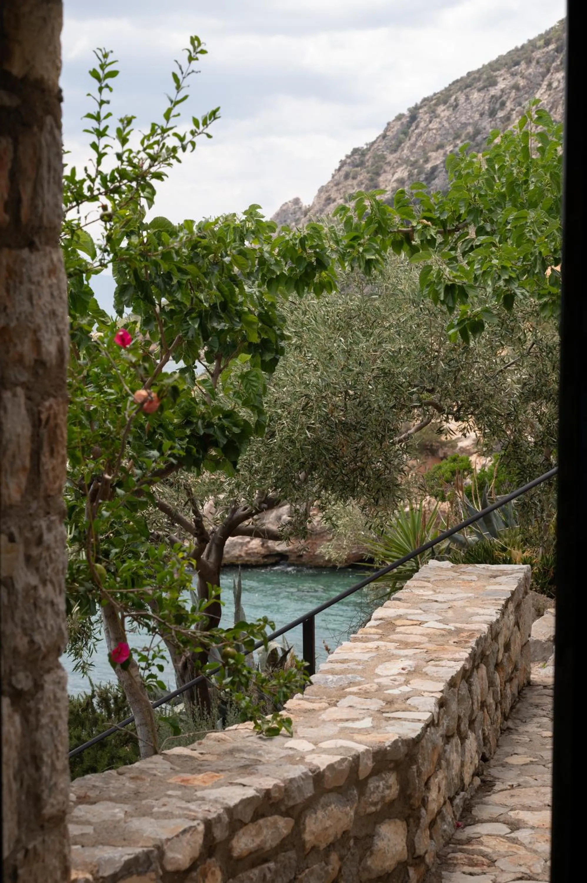 Natural landscape in Agrilia Koromili Retreat