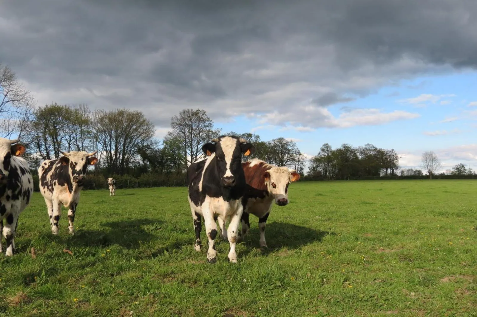 Winter in Le Chant Des Fees