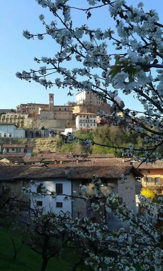 On site in Casa Carolina