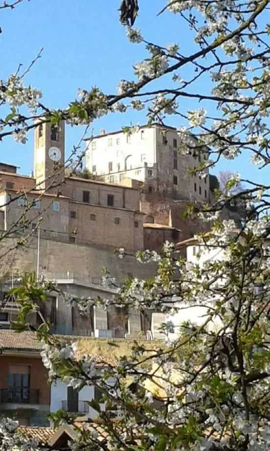 On site in Casa Carolina