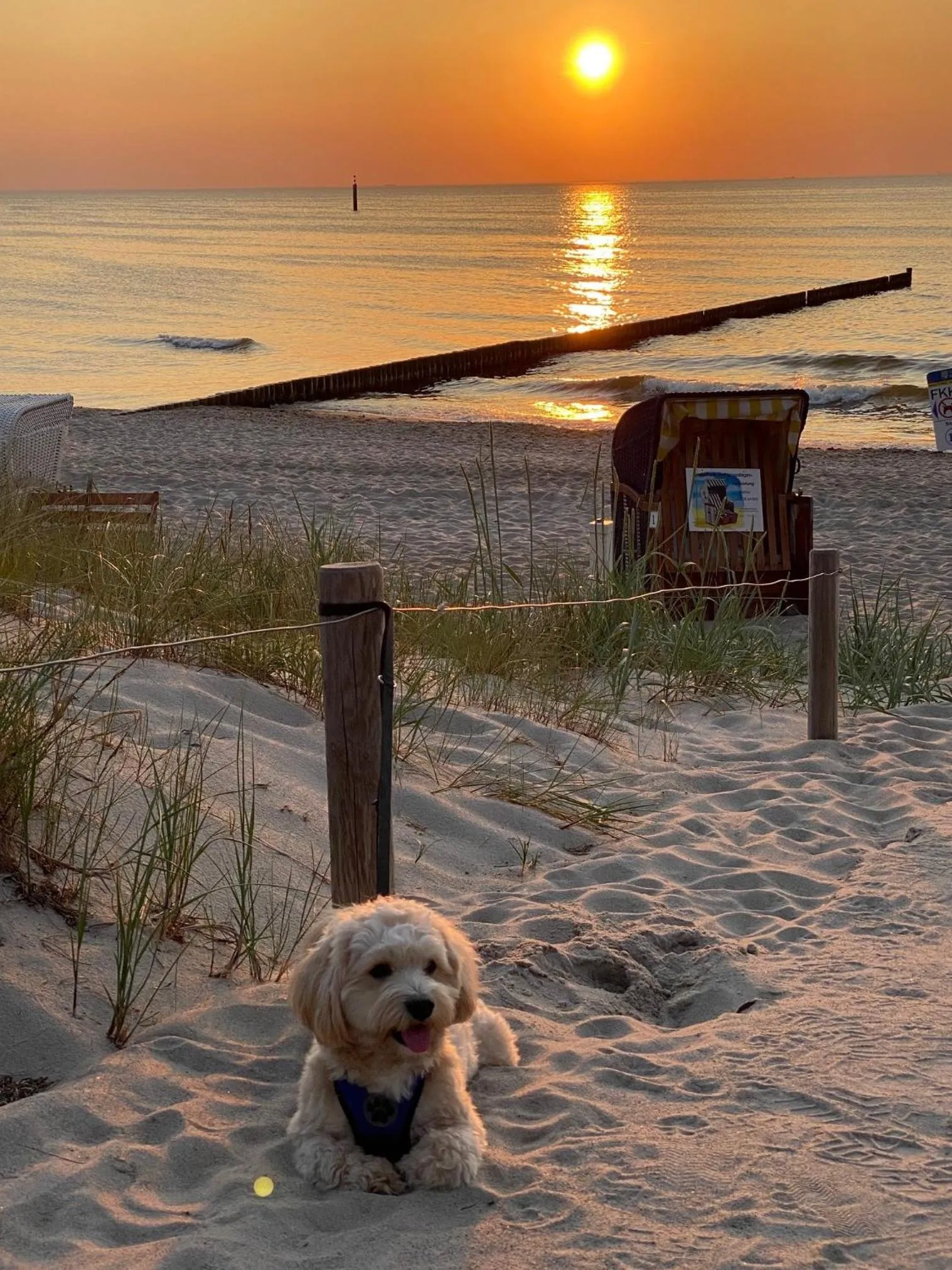 Residenz Lausitz - Apartments für Urlaub mit Hund