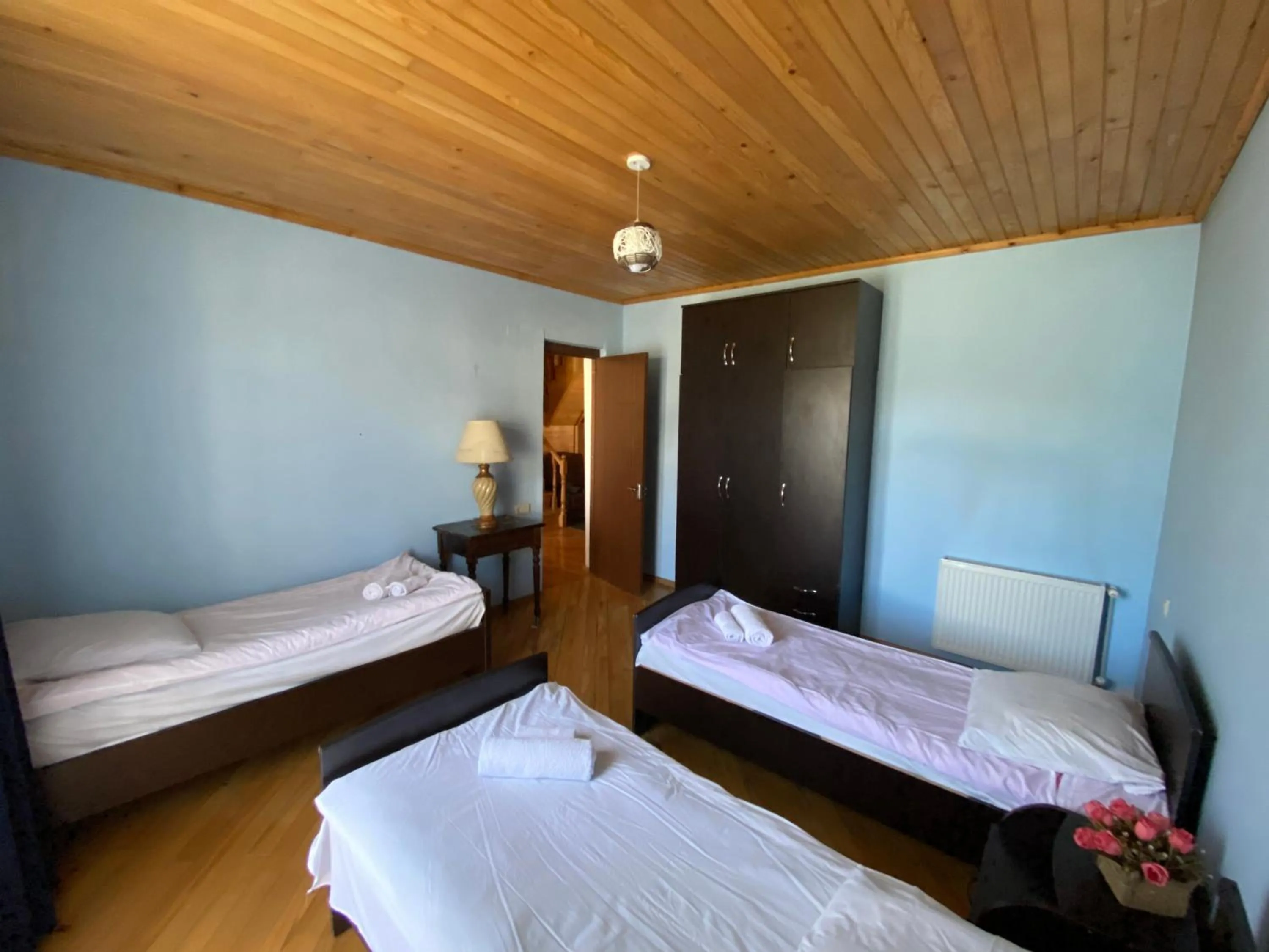 Economy Triple Room with Shared Bathroom in Manana Japaridze's Guesthouse