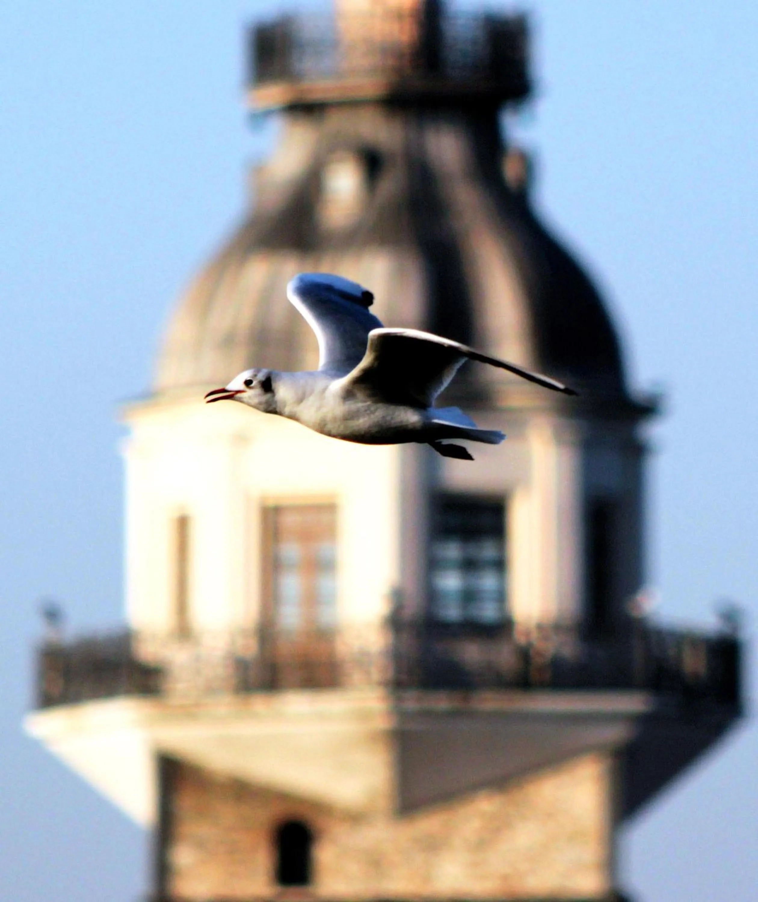Property building in Bon Hotel Old City