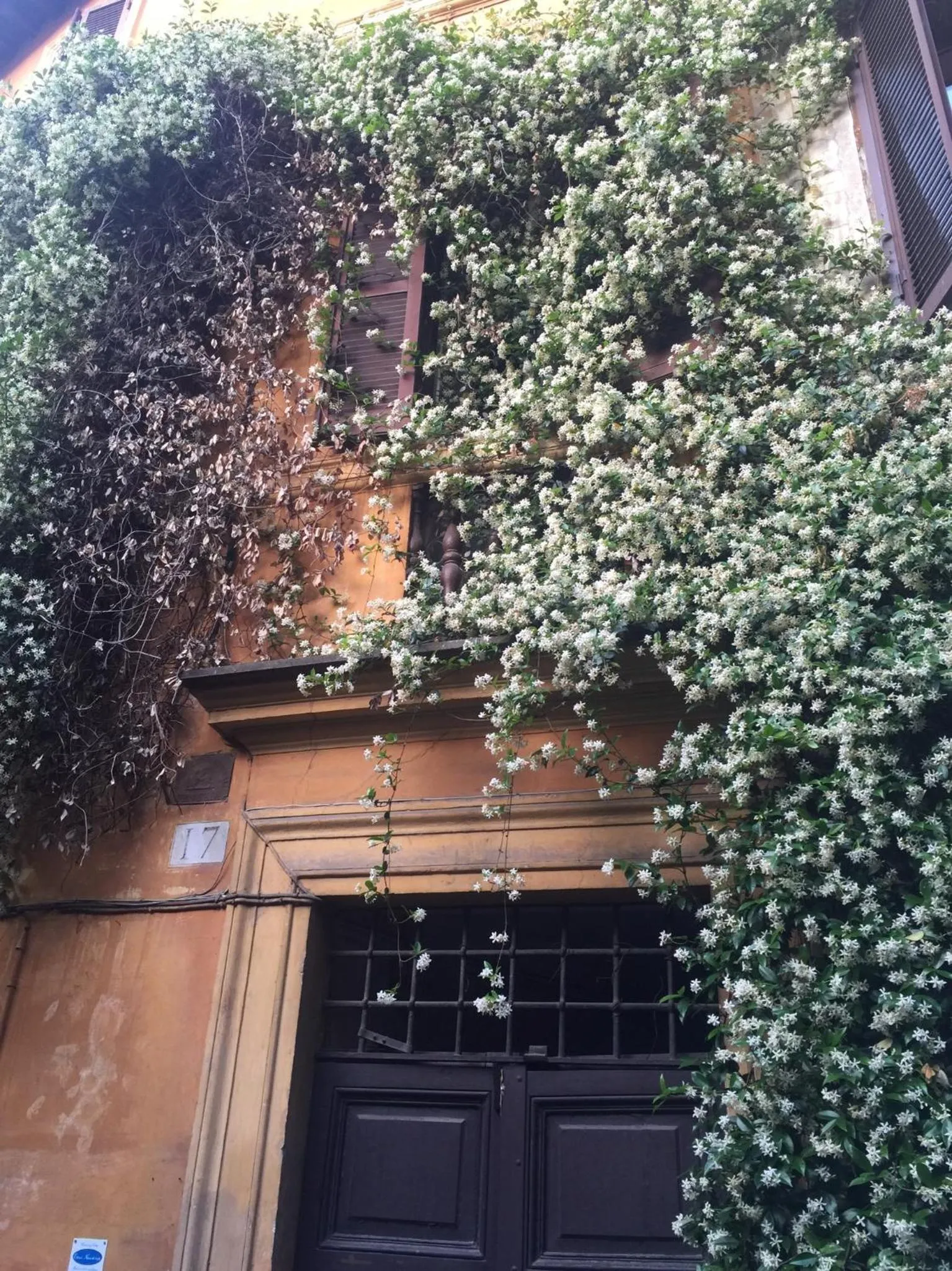 MGPgroup Guest House Navona 2