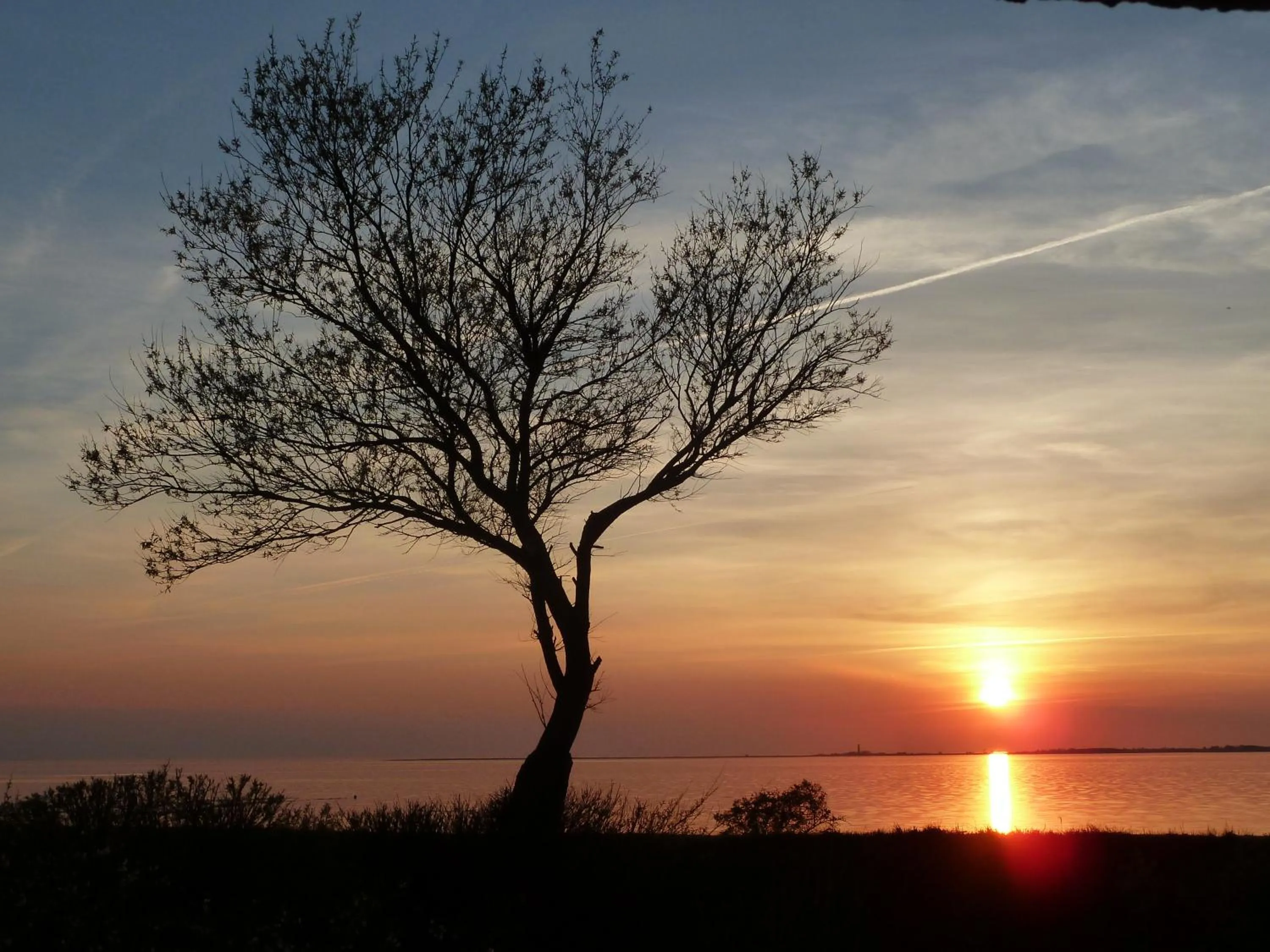 View (from property/room) in Haus Achtern Diek in erster Reihe am Meer