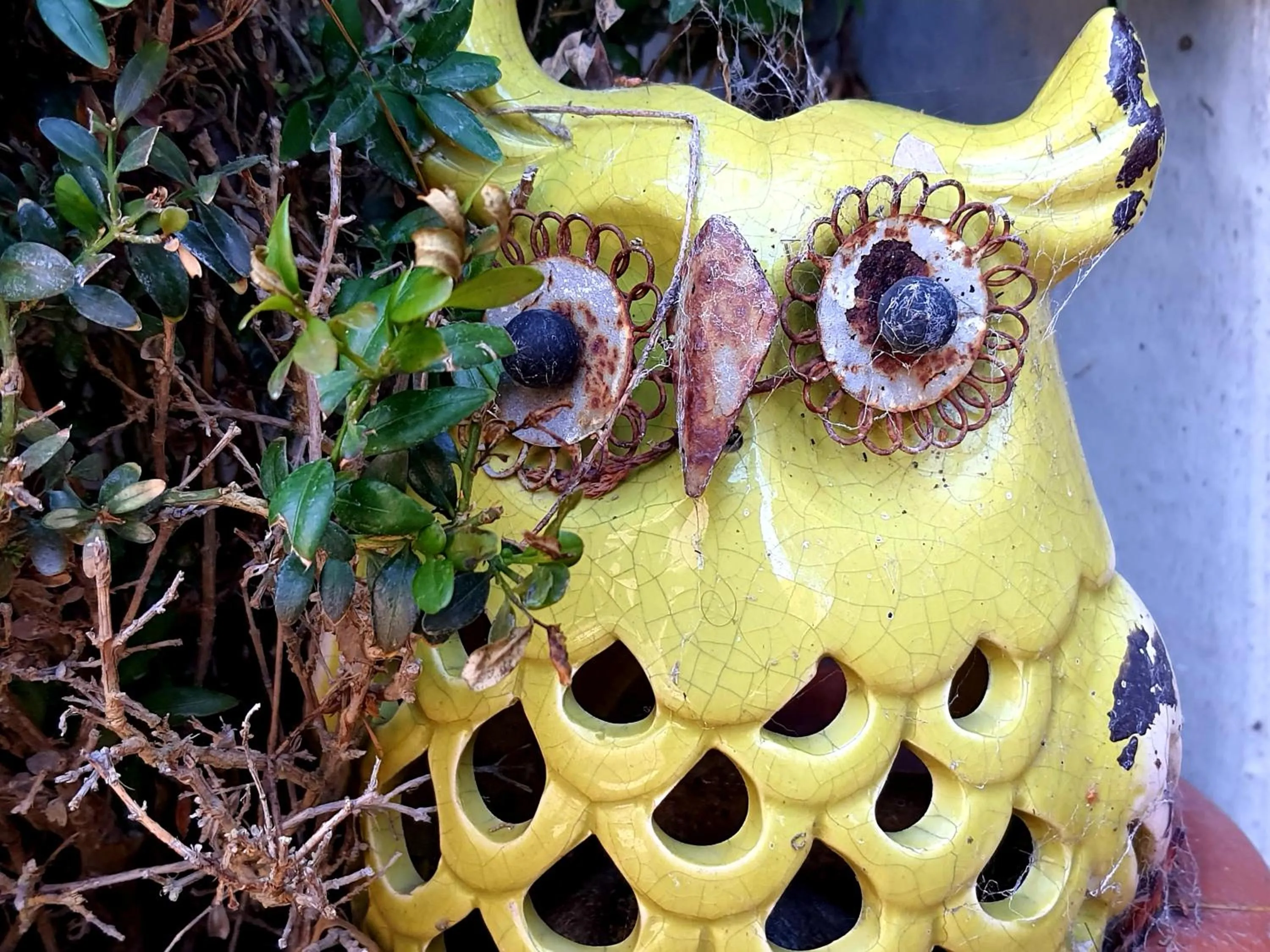 Property building in Haus Achtern Diek in erster Reihe am Meer