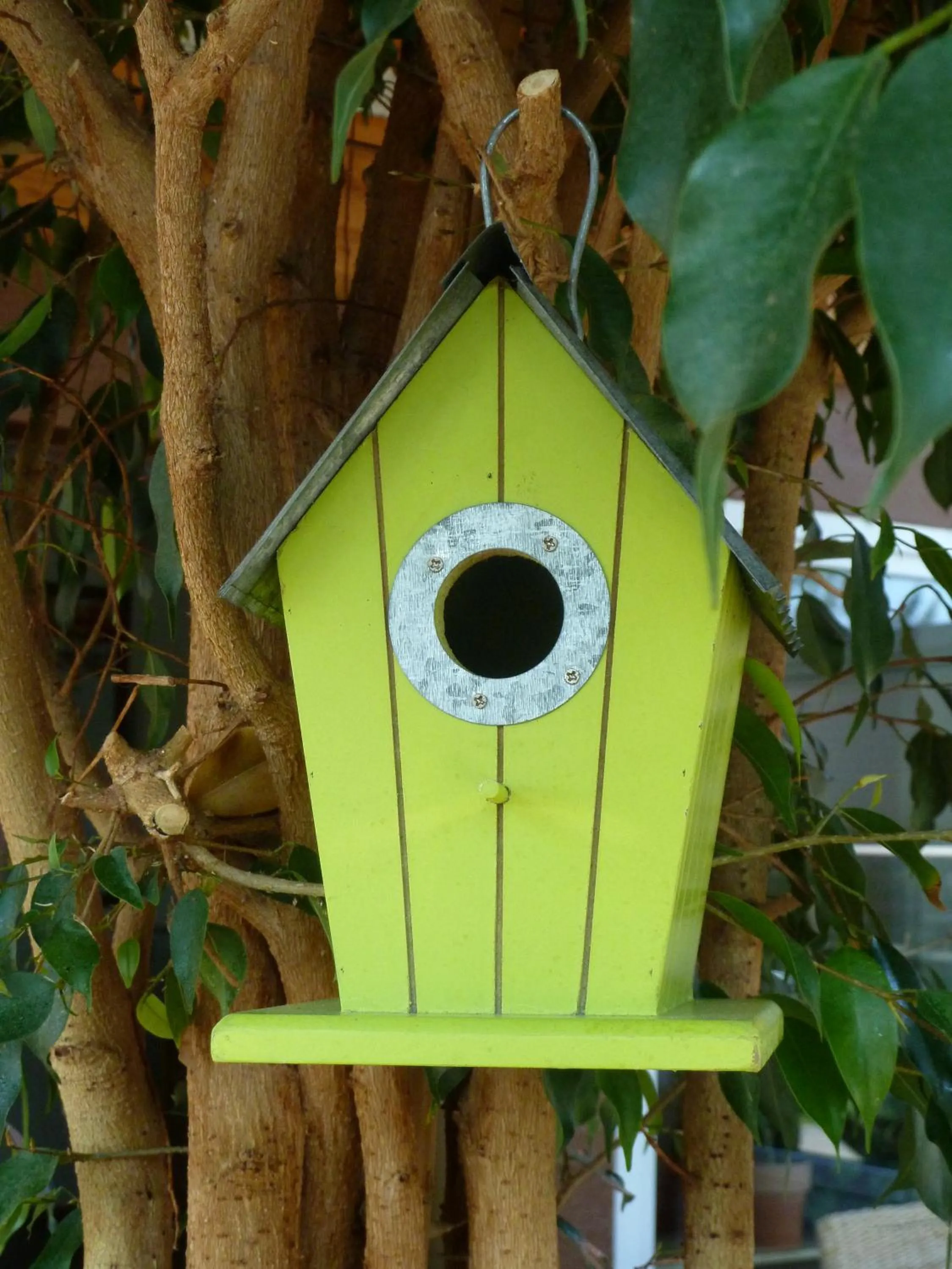 Bird's eye view in Haus Achtern Diek in erster Reihe am Meer