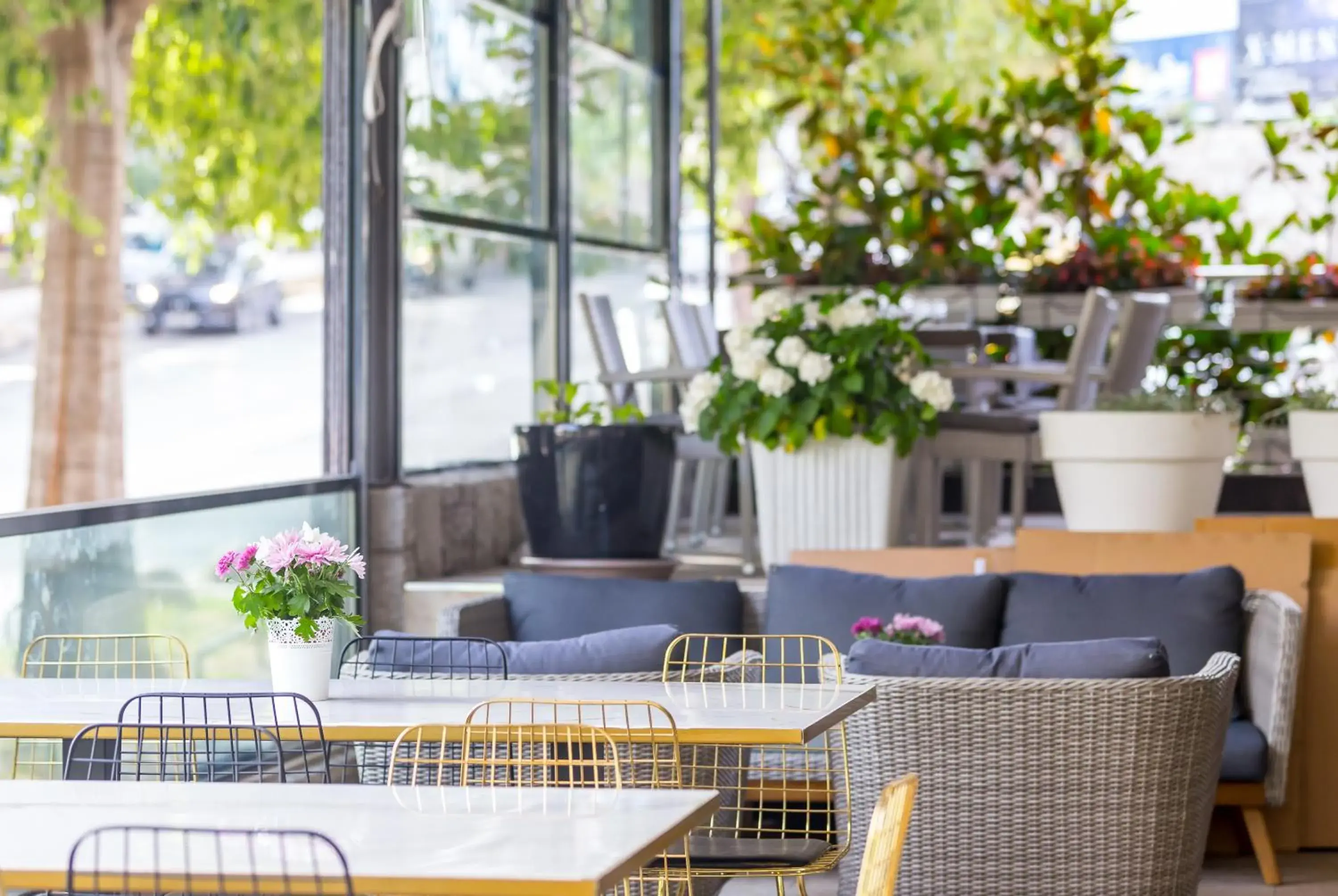 Restaurant/places to eat in Art Hotel Restaurant/places to eat in Art Hotel