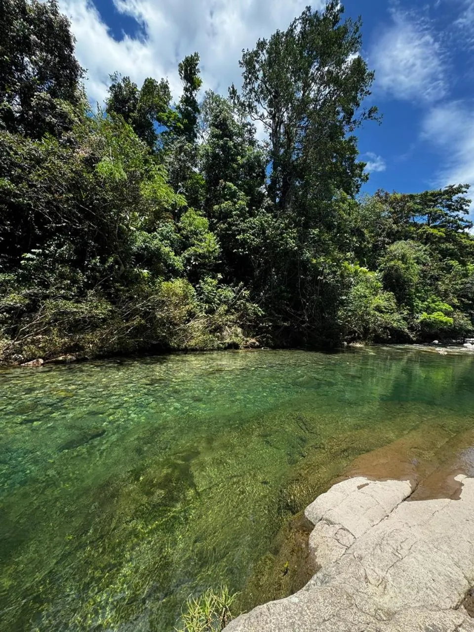 Natural landscape in Rainforest Yasmin Hotel
