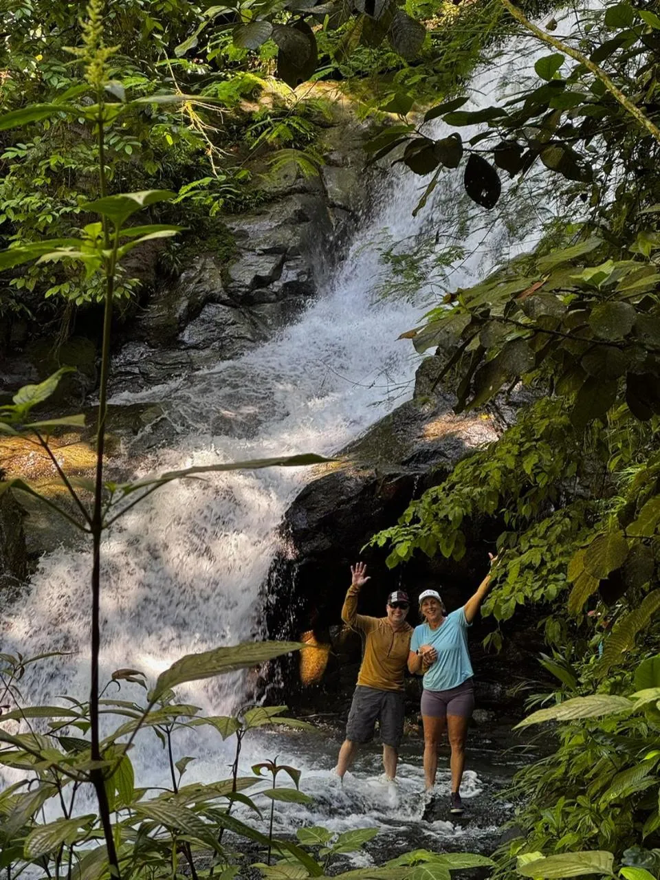 Natural landscape in Rainforest Yasmin Hotel