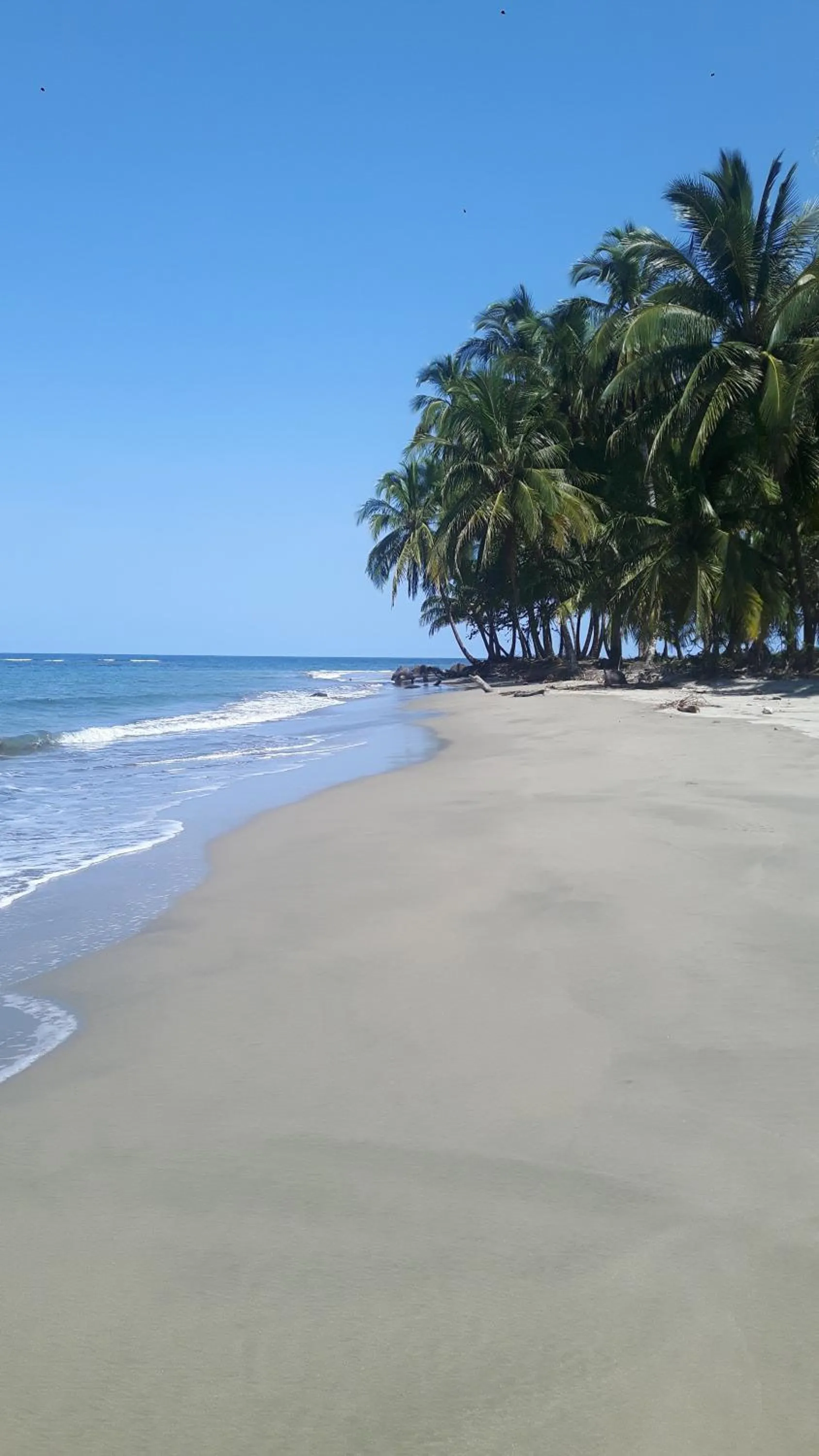 Rainforest Yasmin Hotel