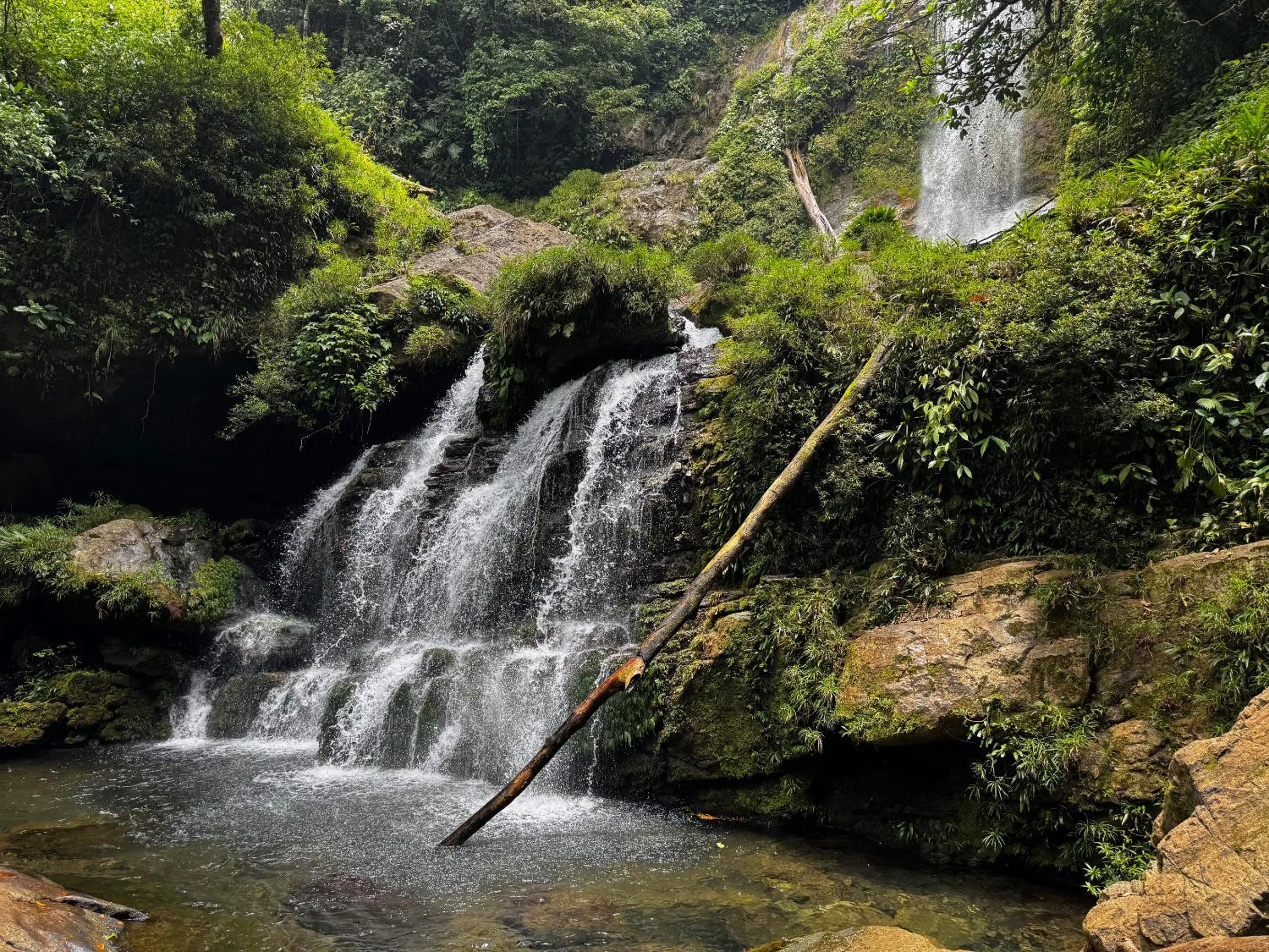 Natural landscape in Rainforest Yasmin Hotel