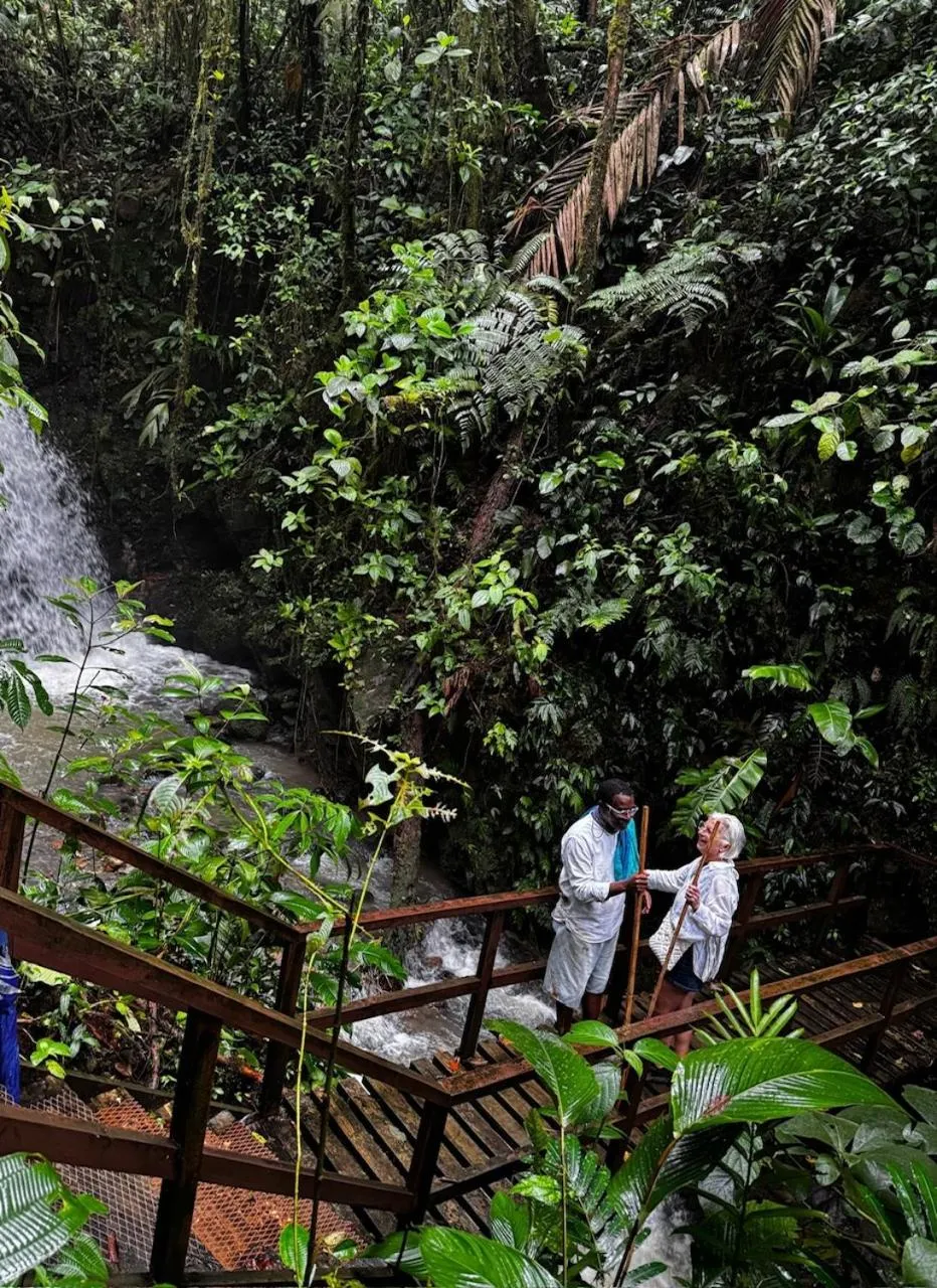 Natural landscape in Rainforest Yasmin Hotel
