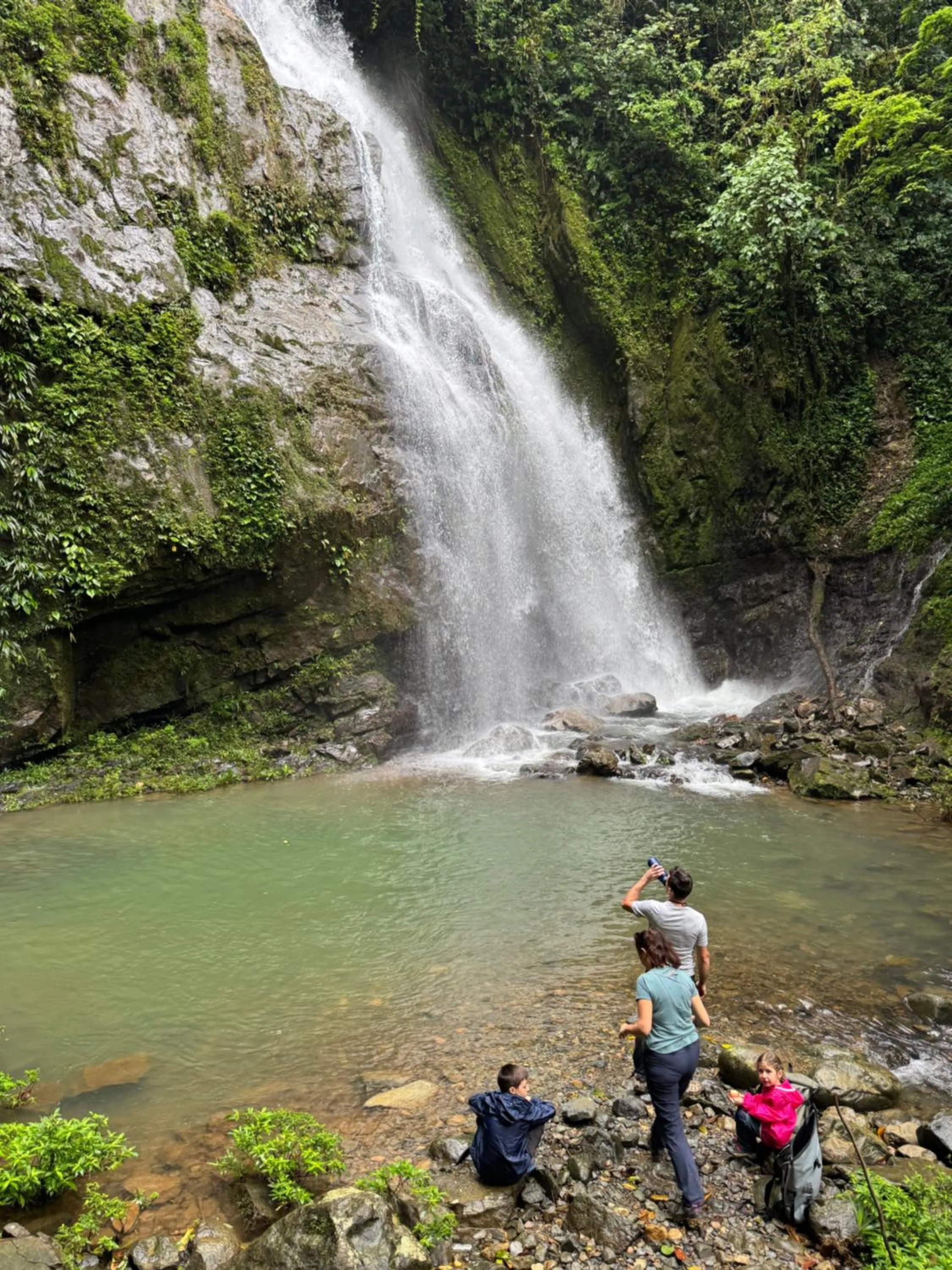 Rainforest Yasmin Hotel