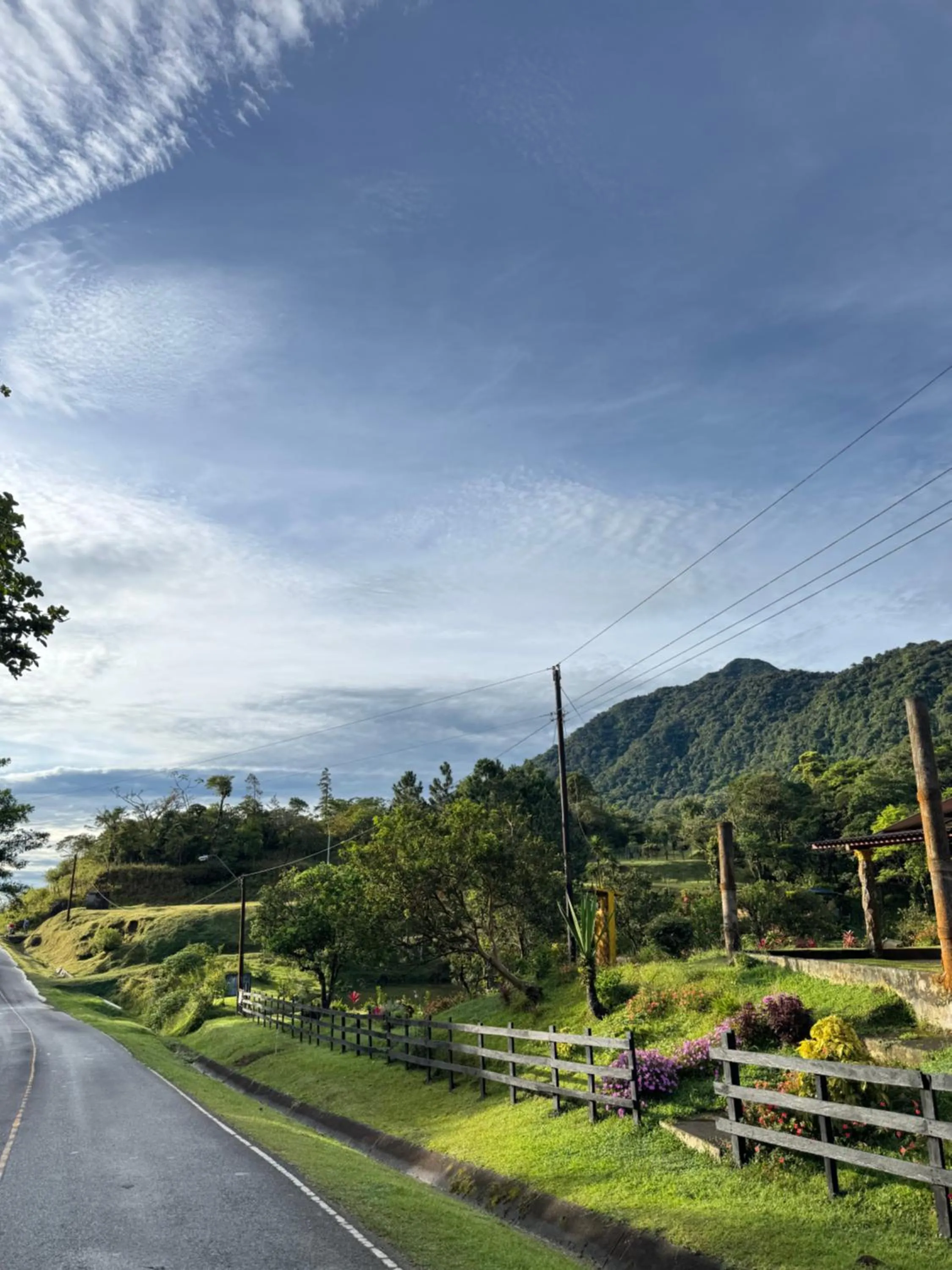 Rainforest Yasmin Hotel